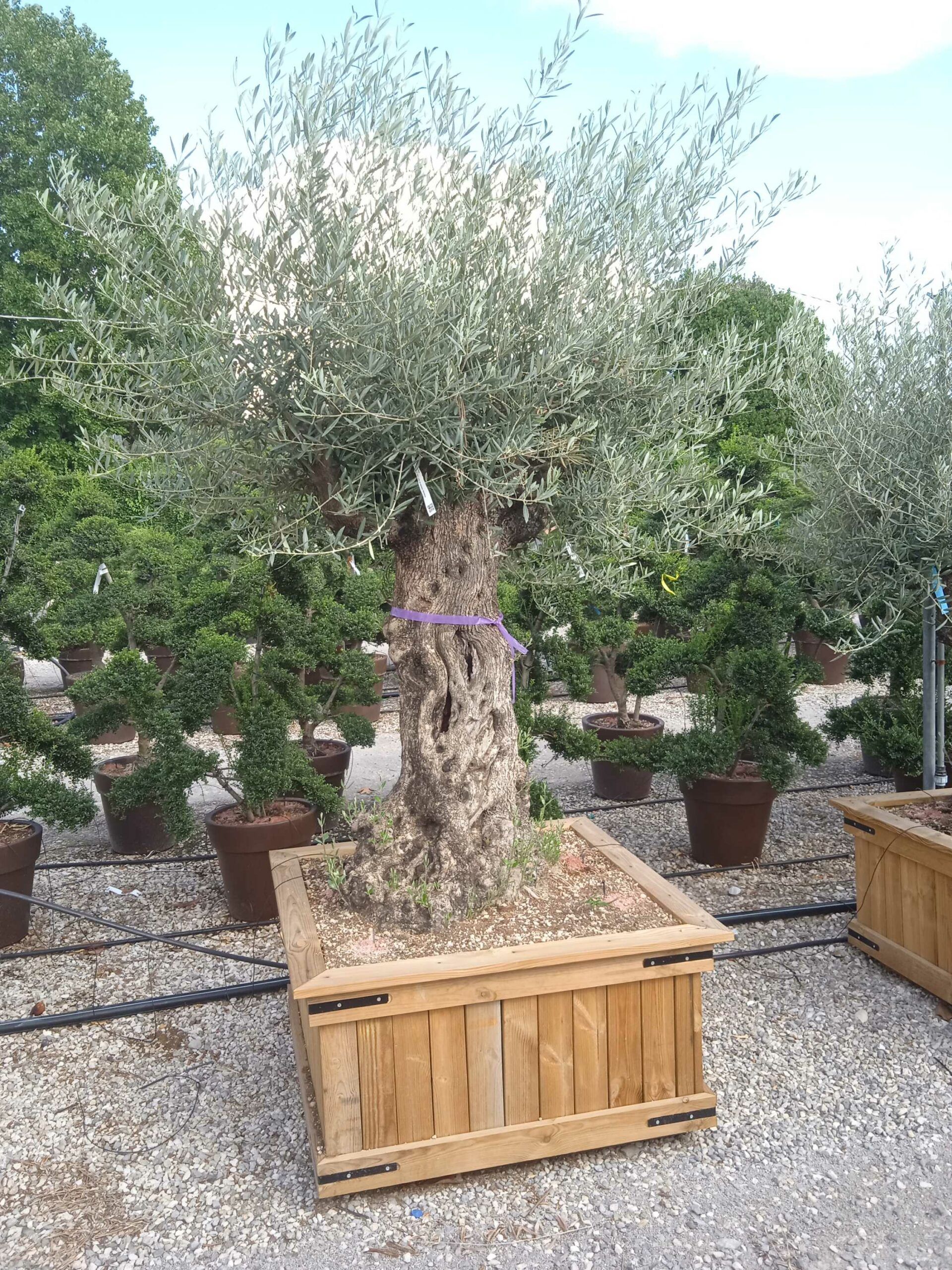 1661782703 scaled 7d9ae10f