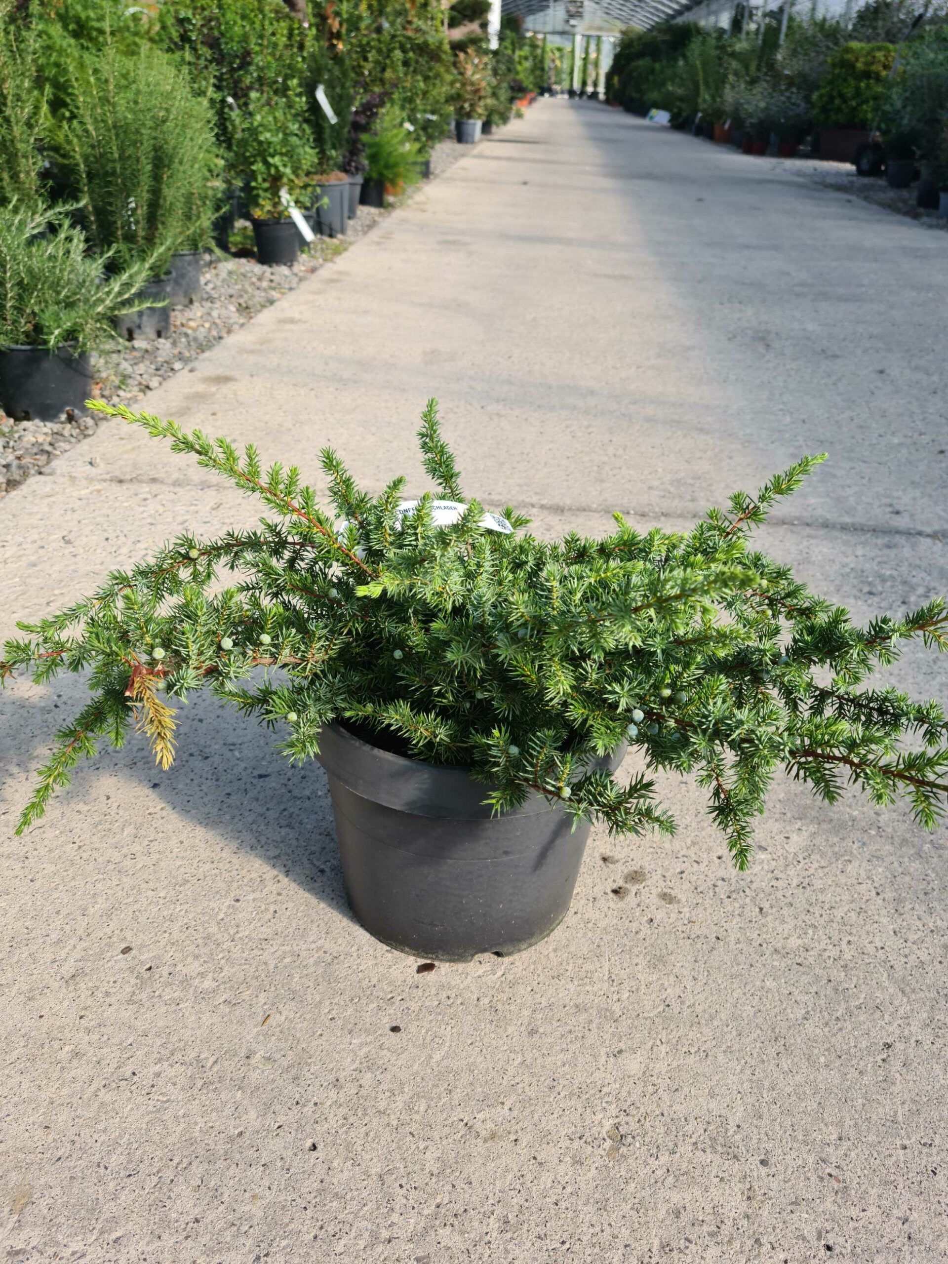 1664787062 scaled 7d36bc8f