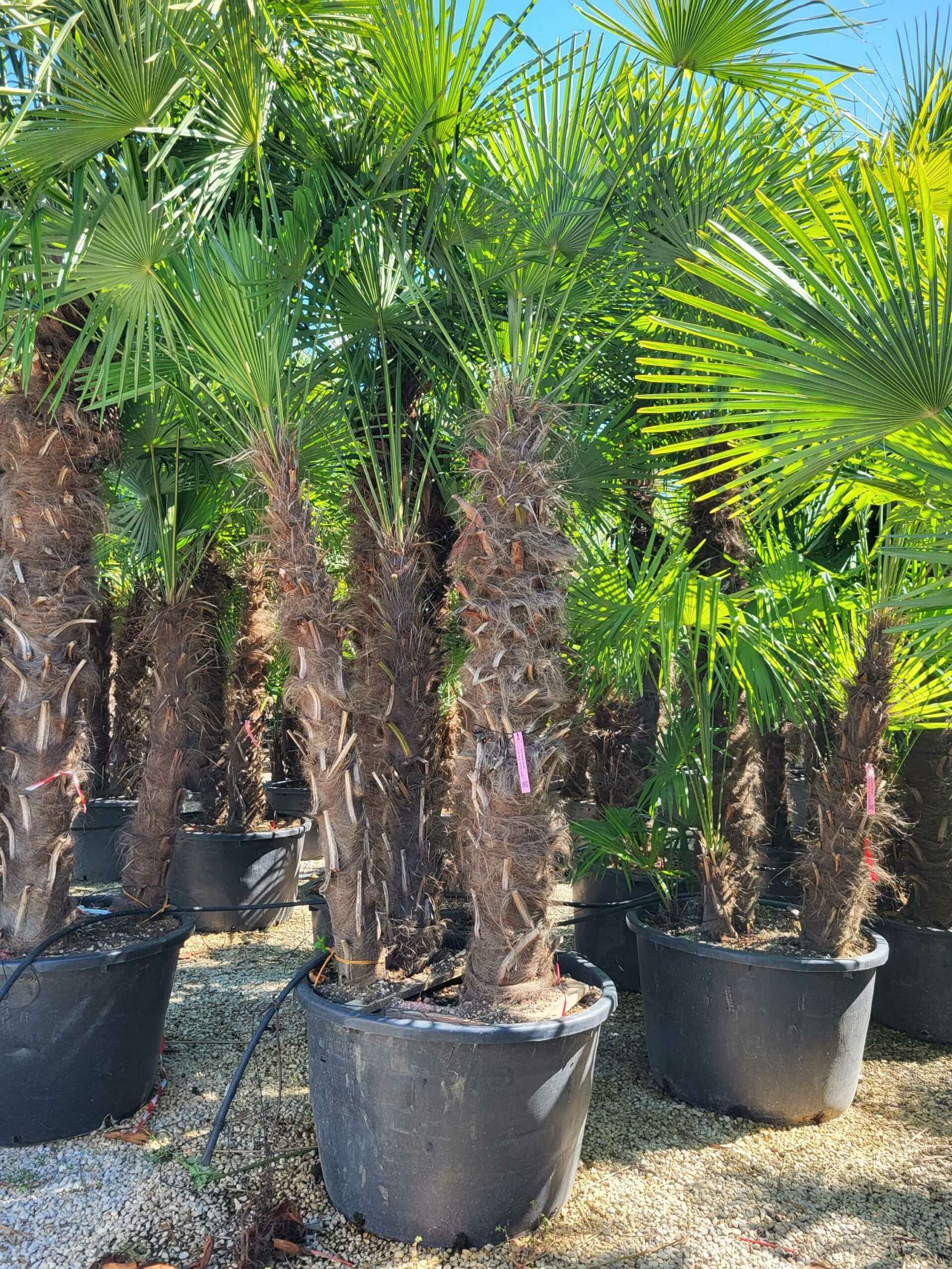 1691484384 scaled 7d70fcac