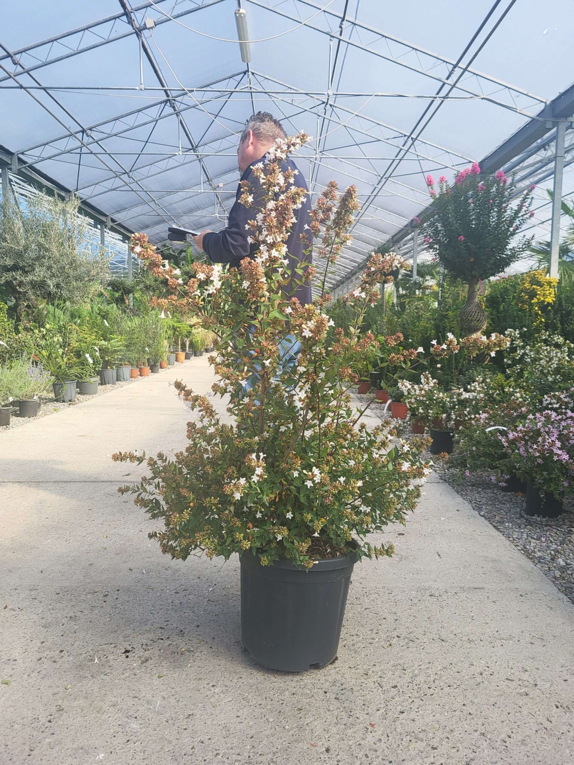 1697180289 scaled 7dfff15a