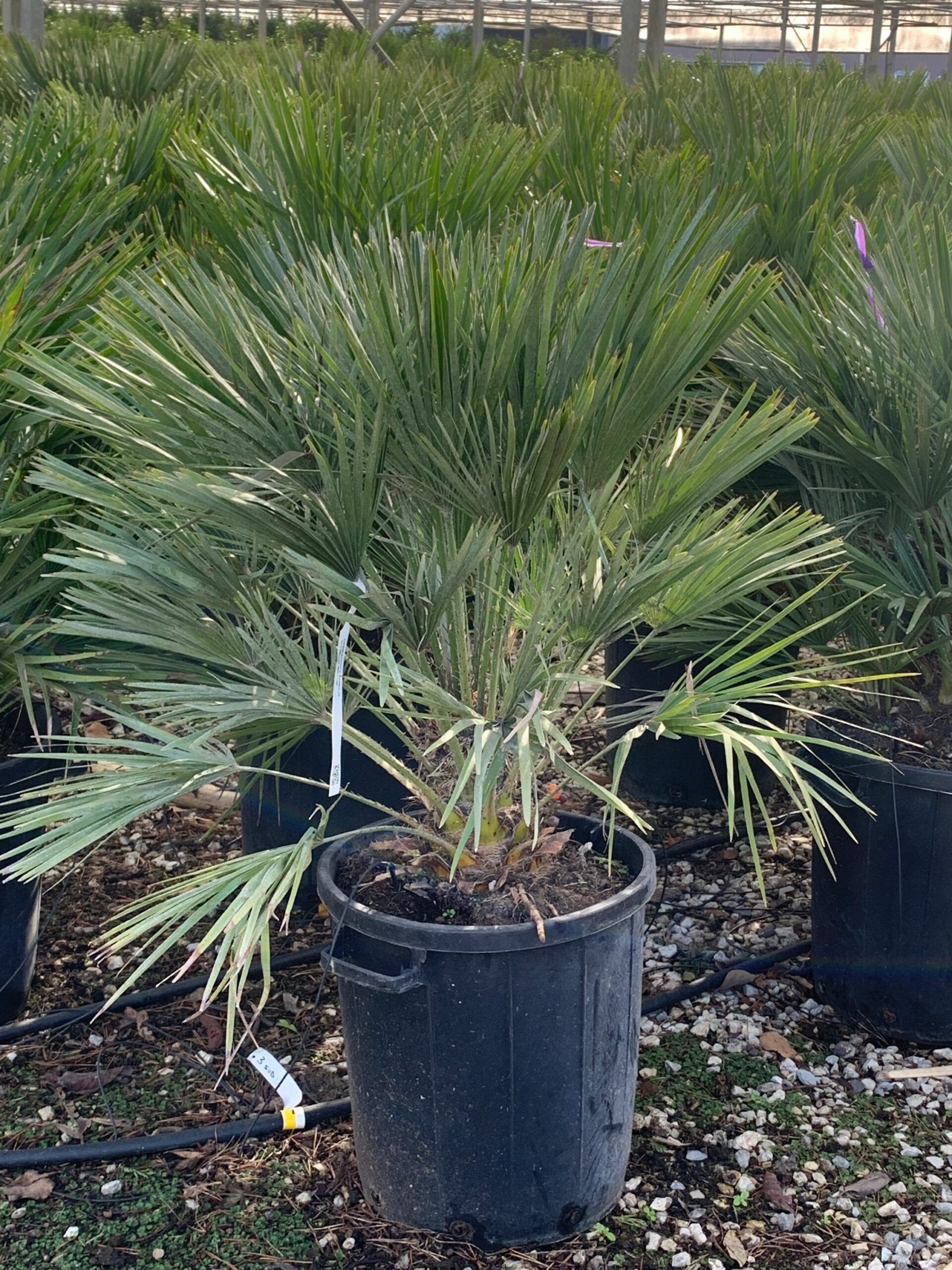 1635500369 scaled 7e9da7c1