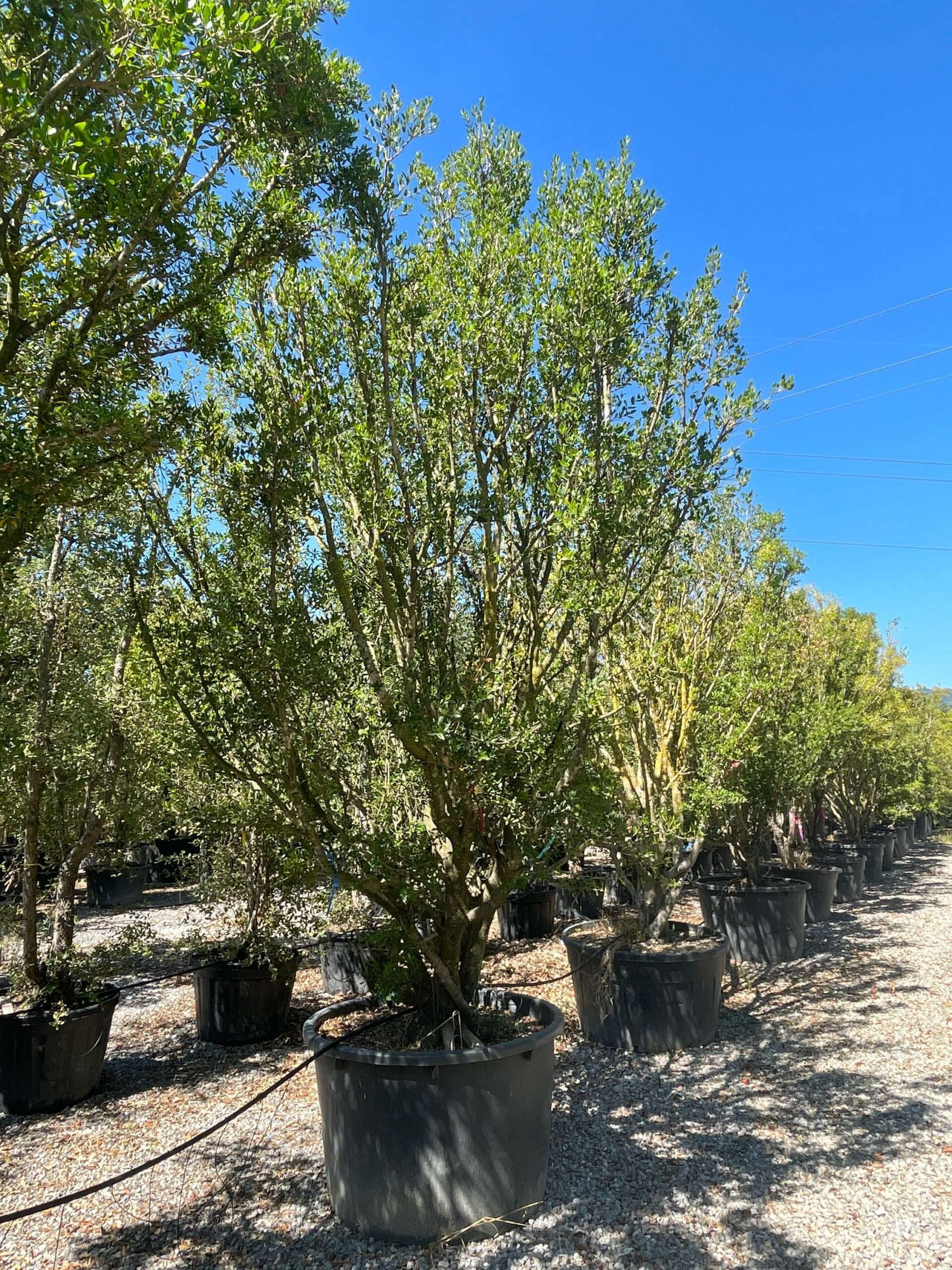 1661258387 scaled 7e806c59