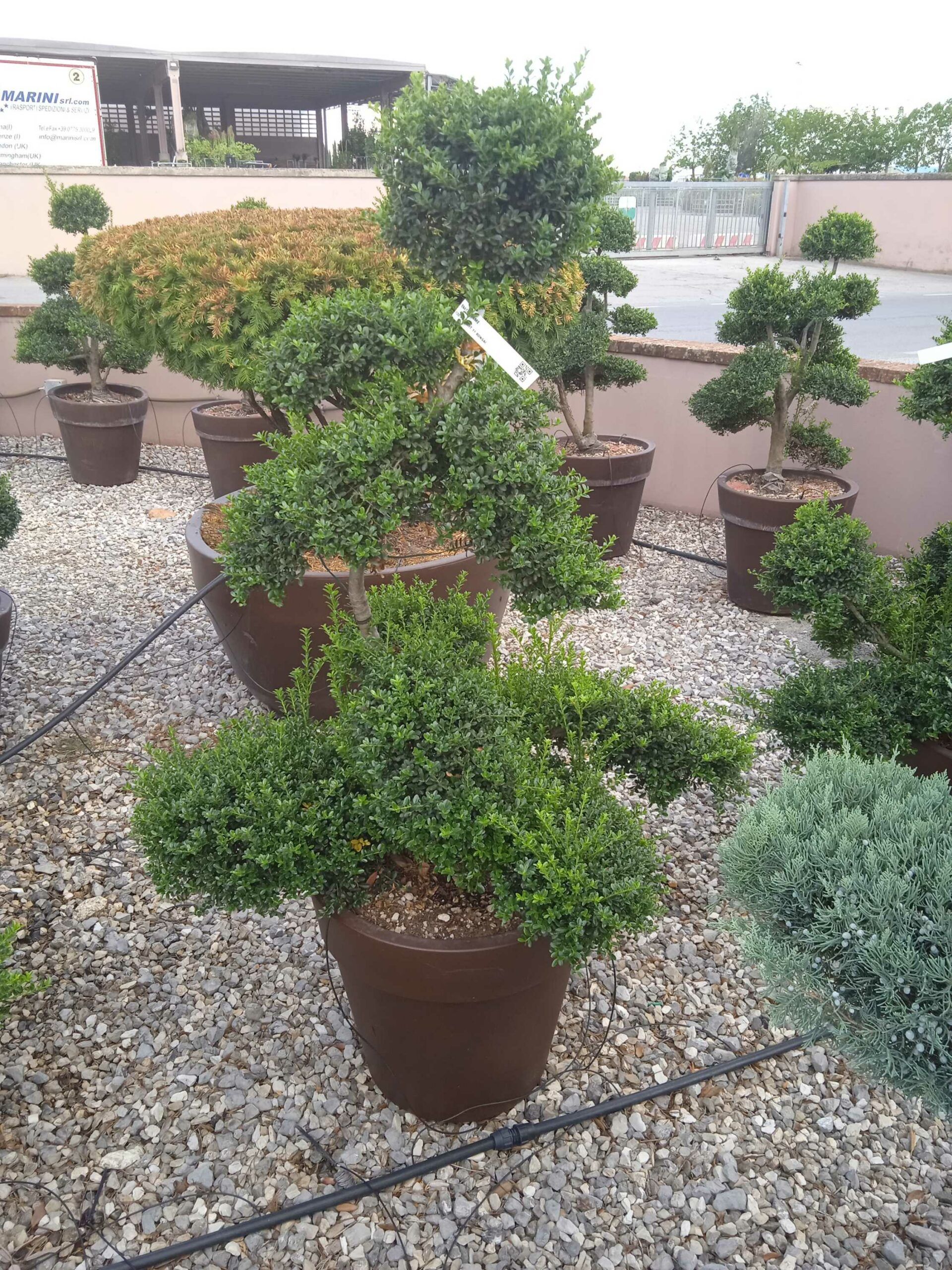 1661782429 scaled 7eedf00c