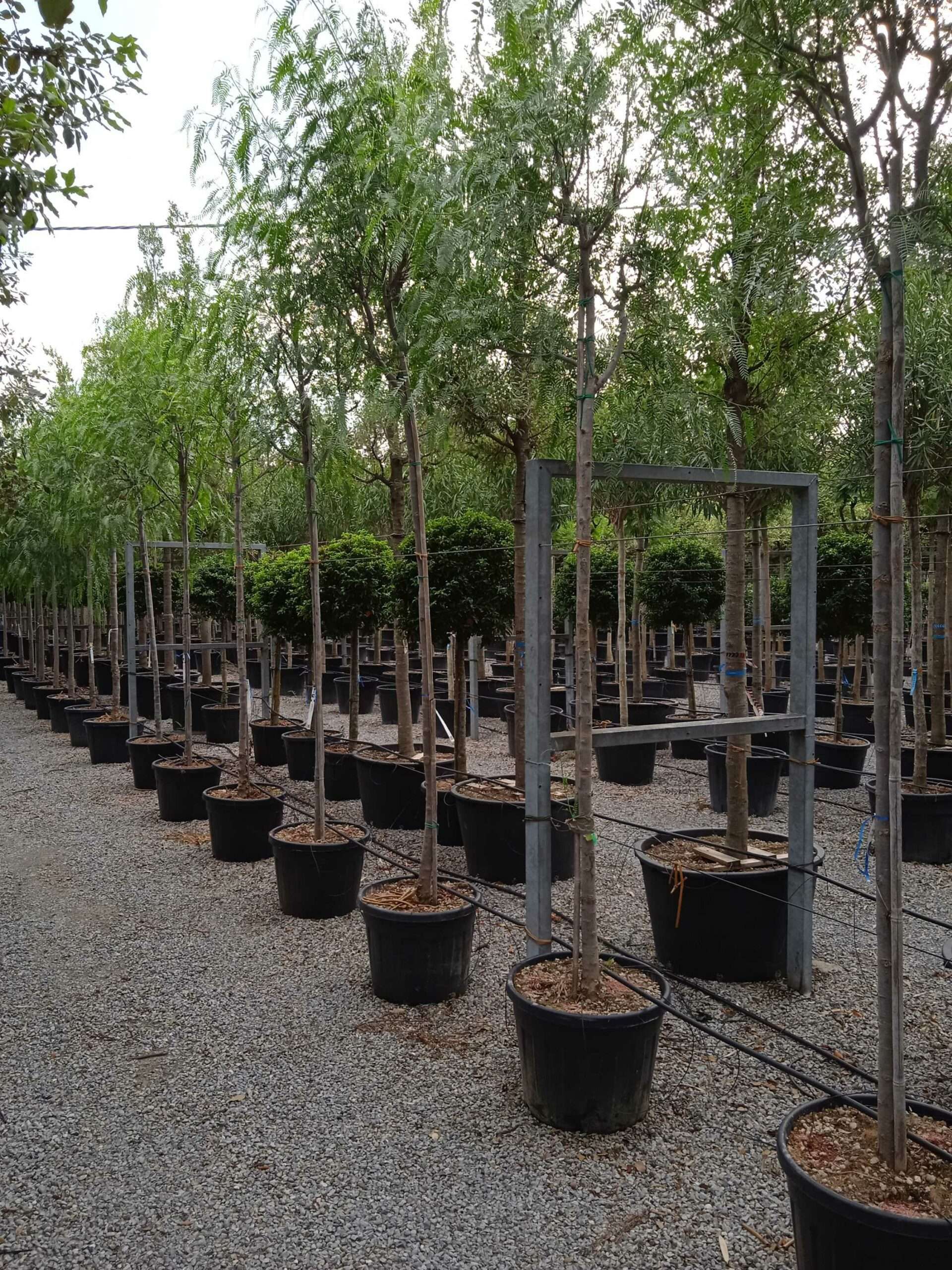 1661871407 scaled 7e1f028e