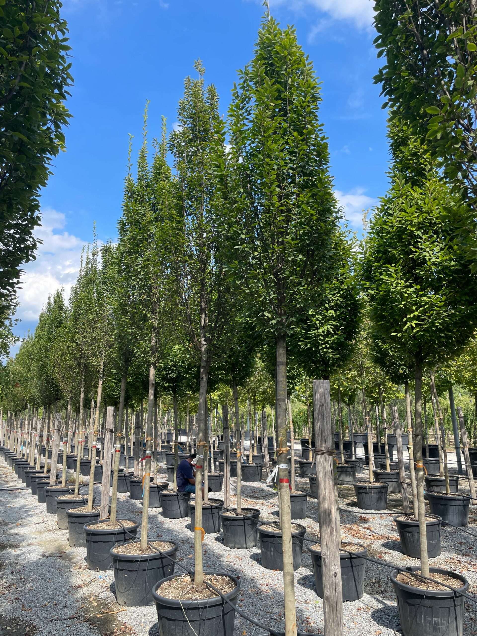 1662123768 scaled 7ed11806