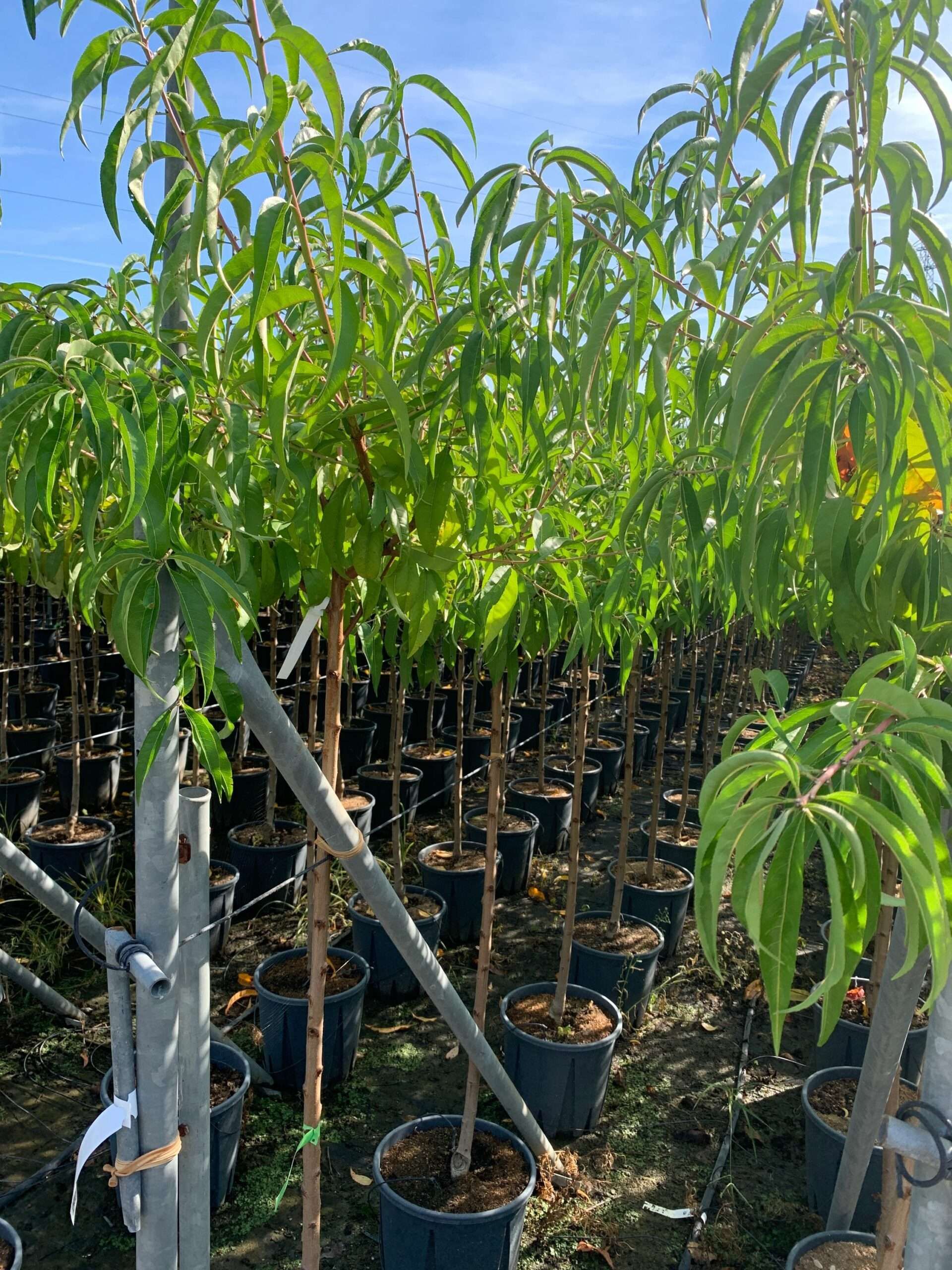 1662365836 scaled 7e7772b9