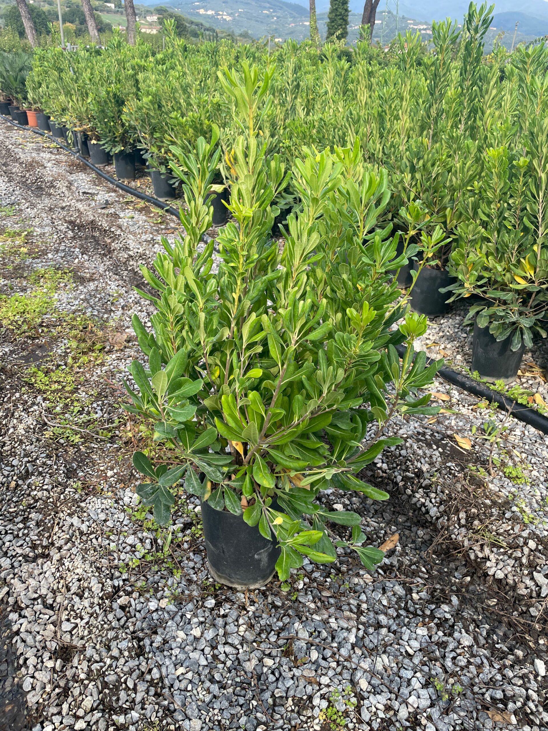 1665493609 scaled 7e2b94c0