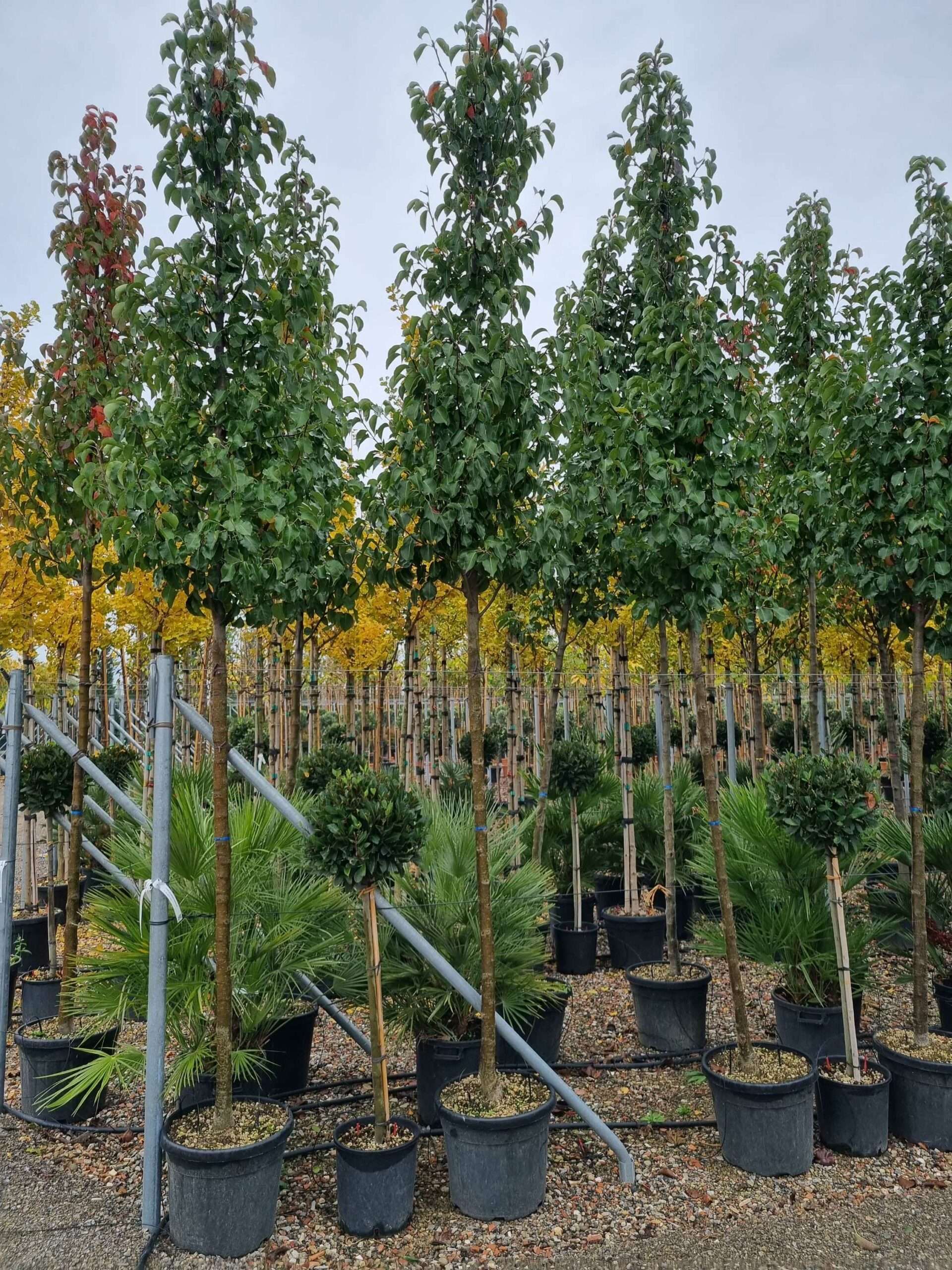 1668501499 scaled 7e192374