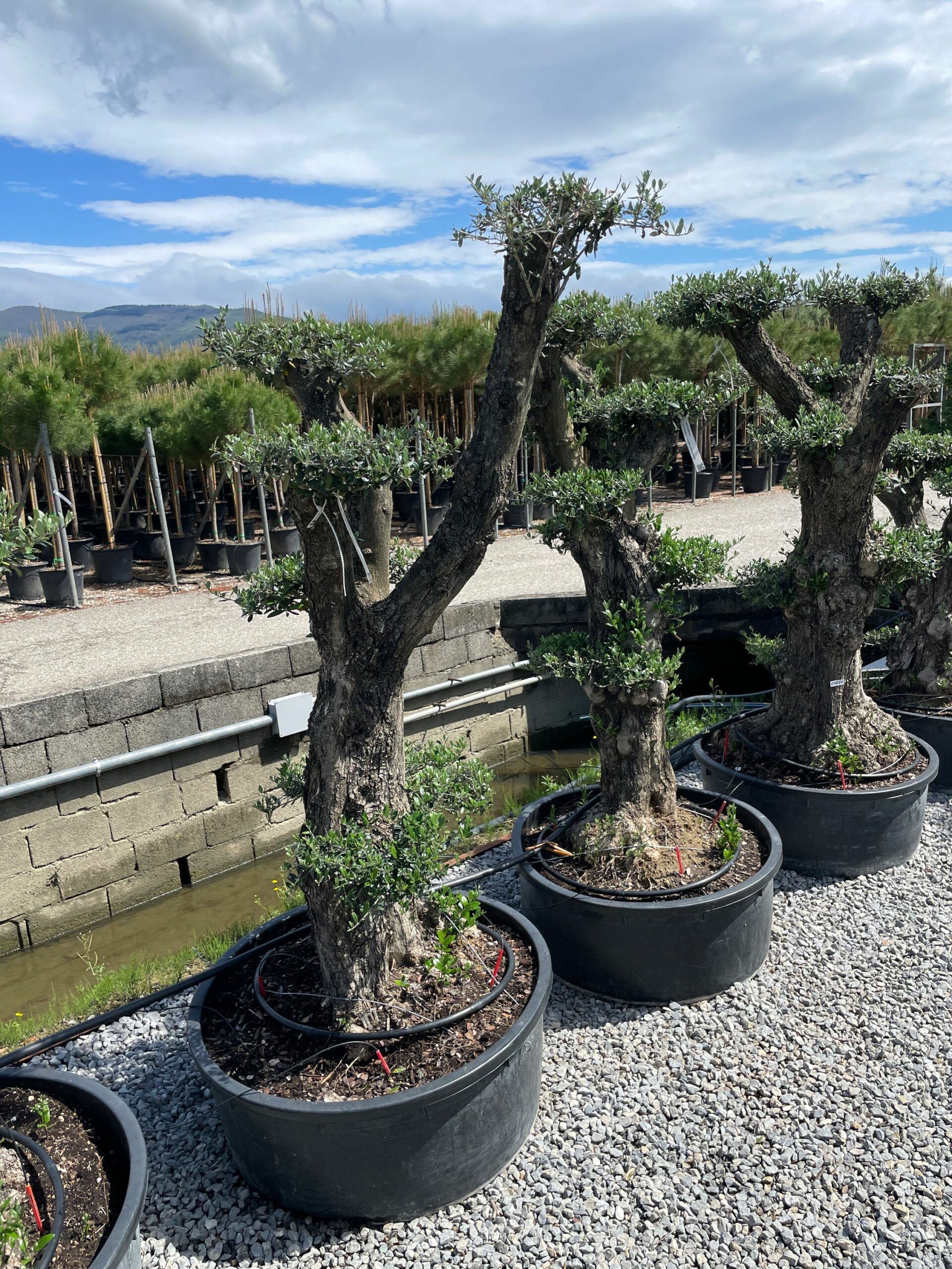 1683106329 scaled 7edd8fd2