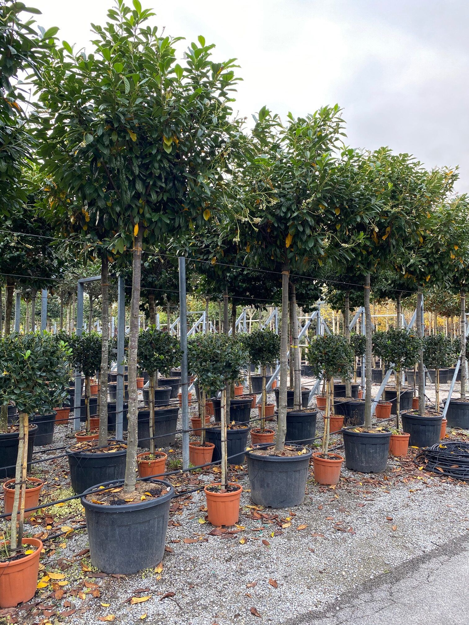 1608566382 rotated 7fcb9855