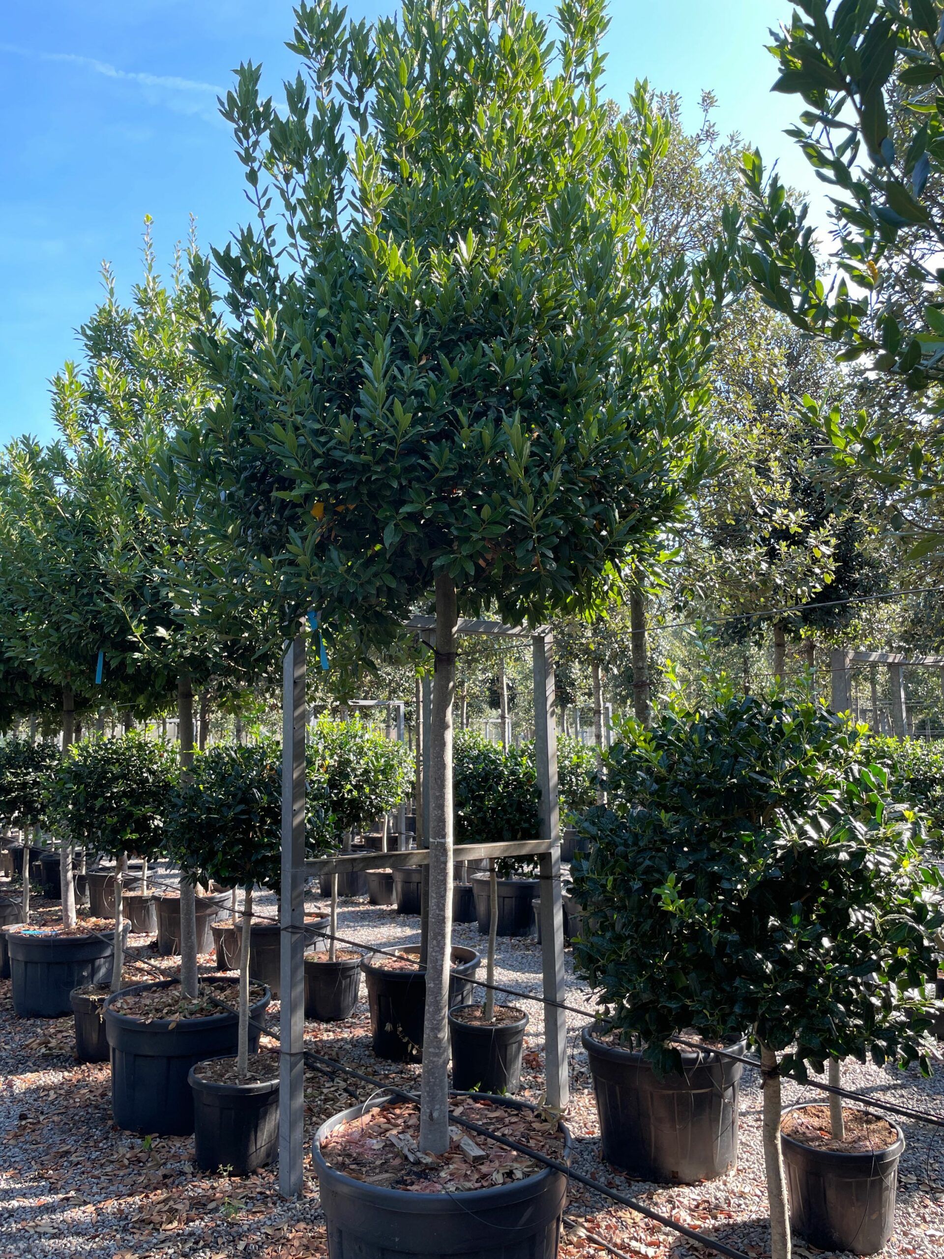 1631002763 scaled 7f94673e