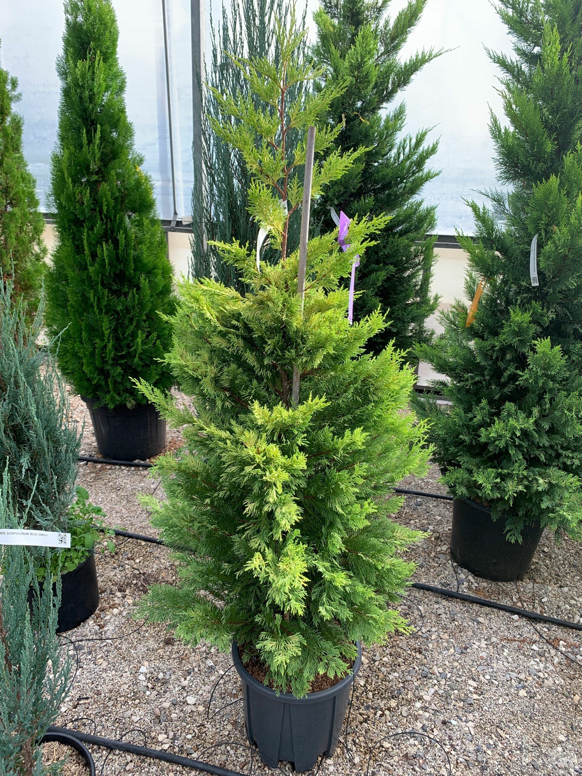 1636362499 scaled 7f8d4f8b