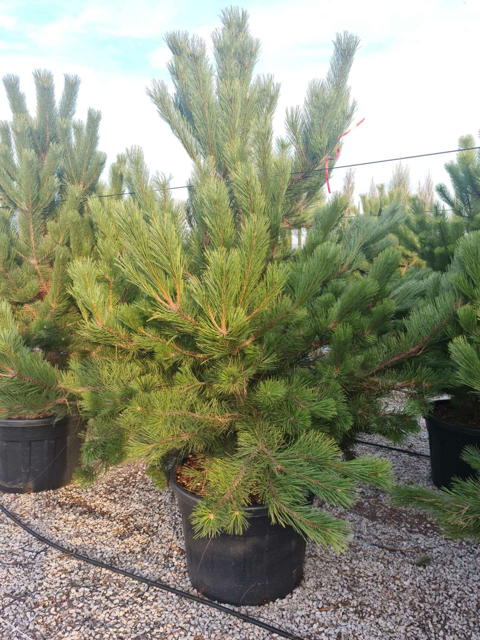 1639492382 scaled 7fed1a8a