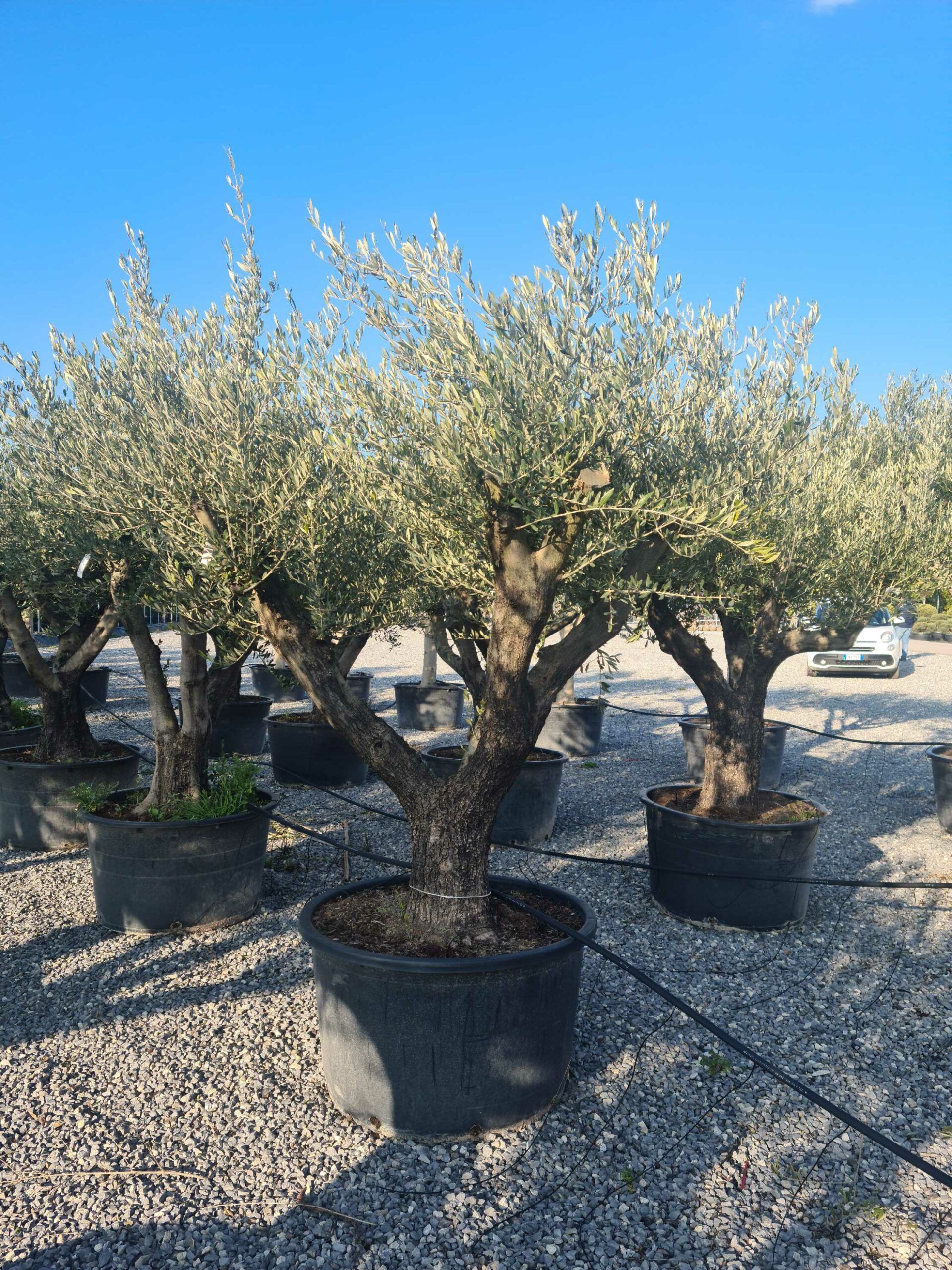 1642772940 scaled 7fbbb3cb