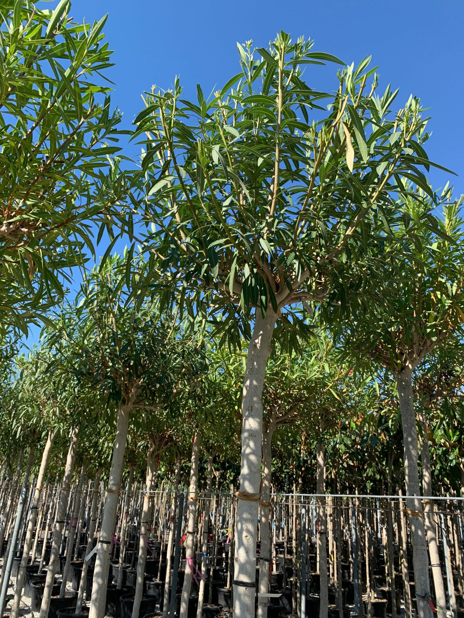 1657897718 scaled 7fb21321