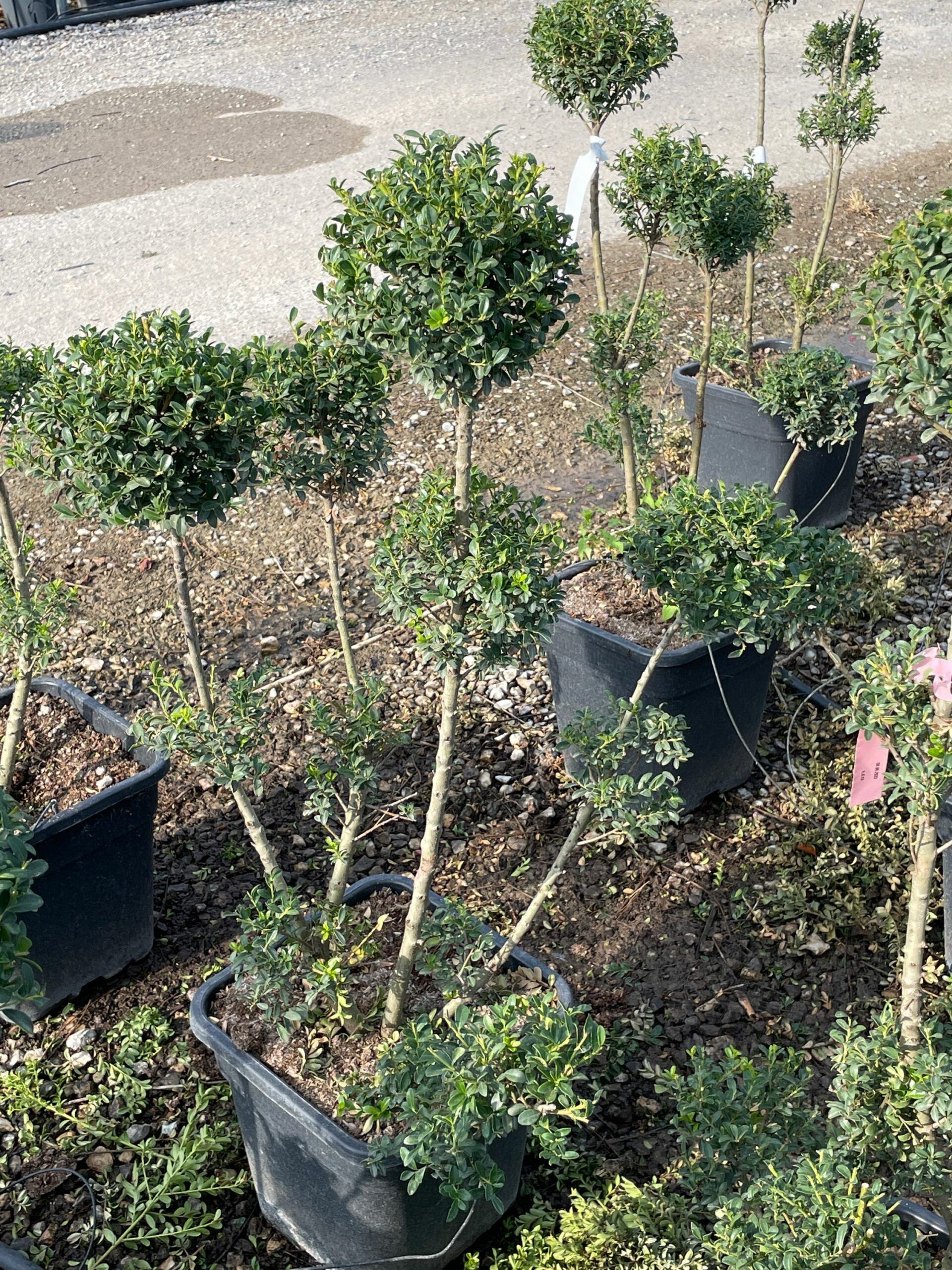 1660287173 scaled 7f29377c