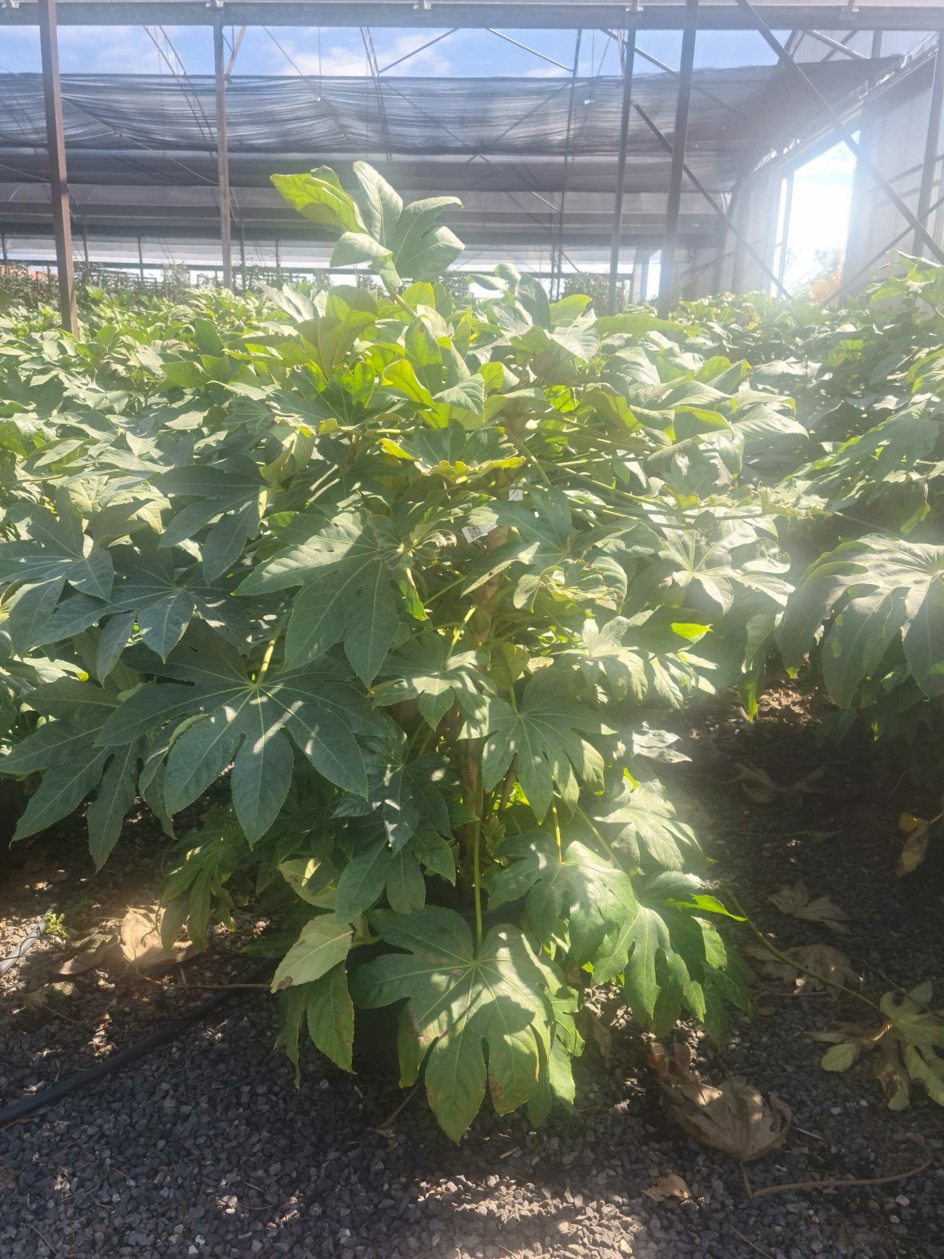 1661938601 scaled 7f51f0c6