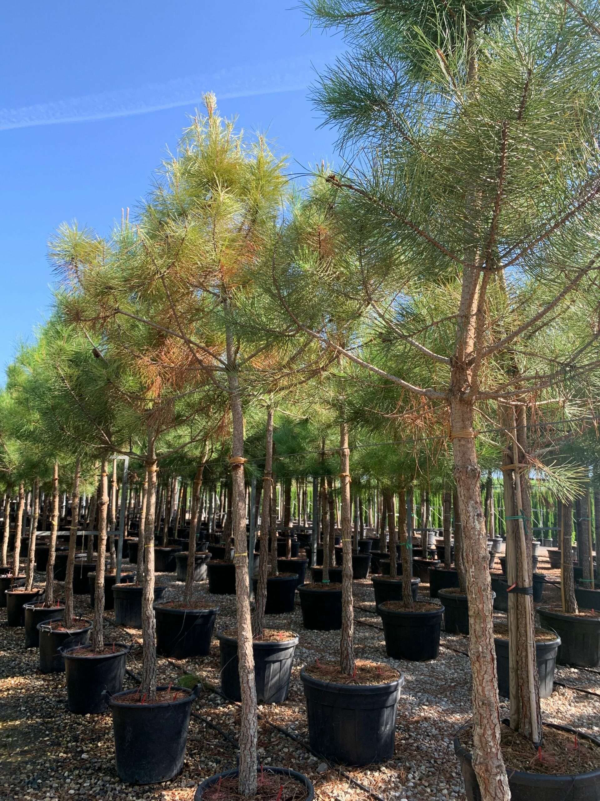 1662452481 scaled 7ffb2a15