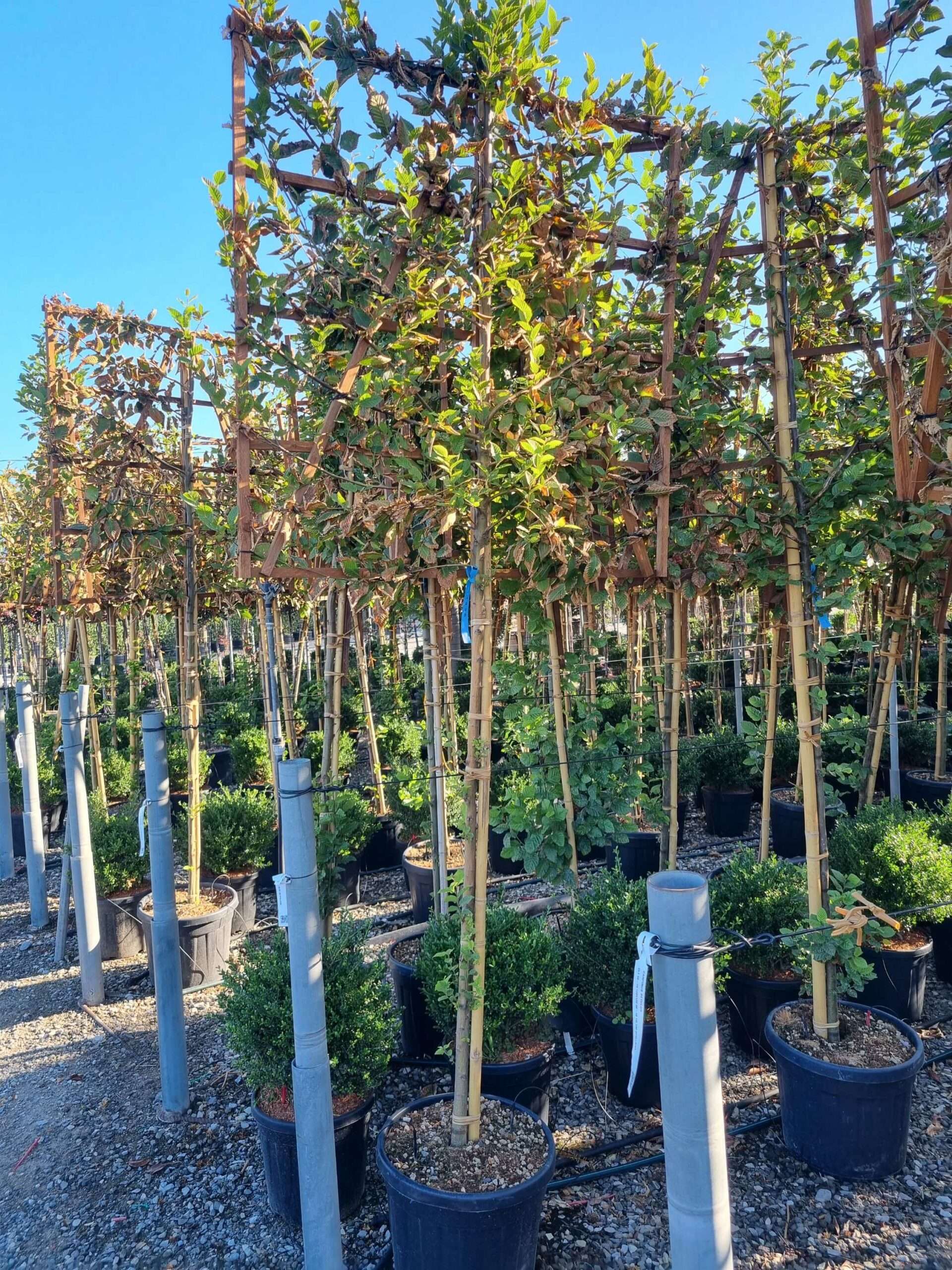 1663657609 scaled 7f3b6658