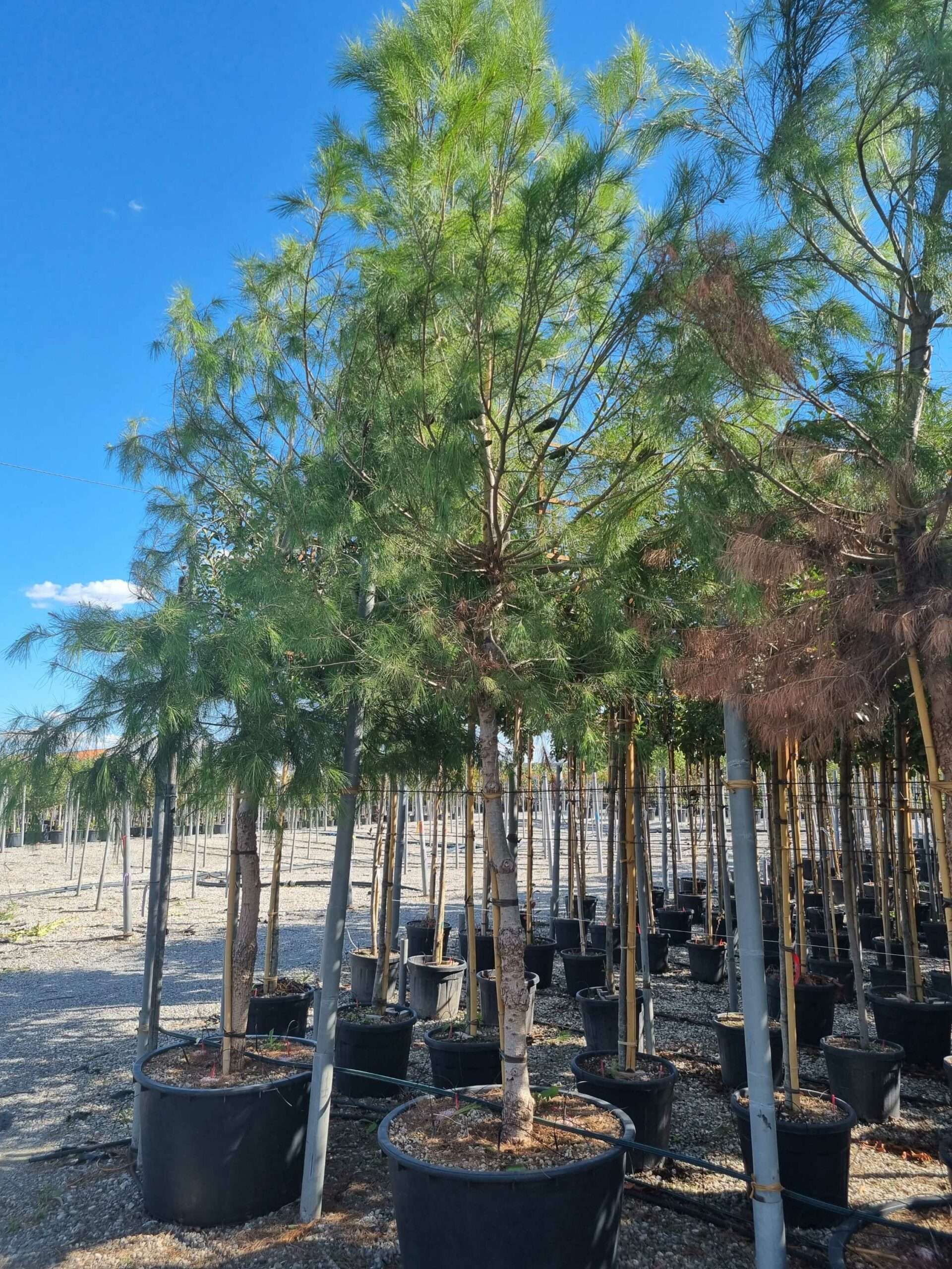 1663681019 scaled 7fe816be