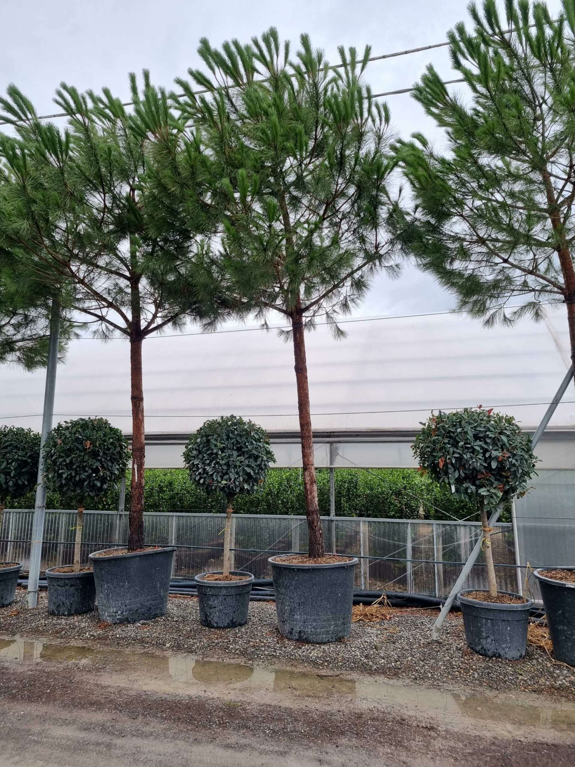 1664530784 scaled 7f5f32e1