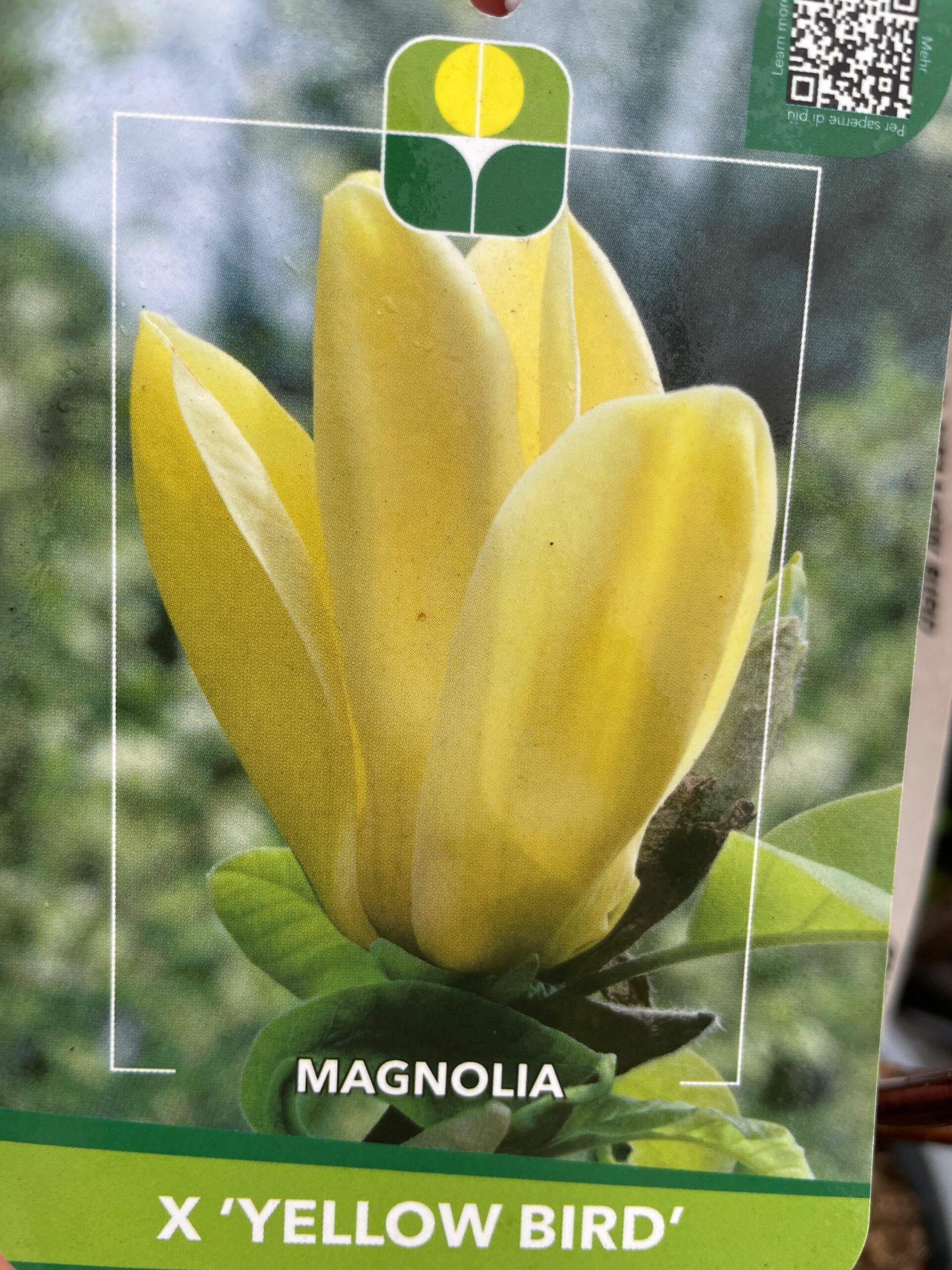 1670582965 scaled 7f130402