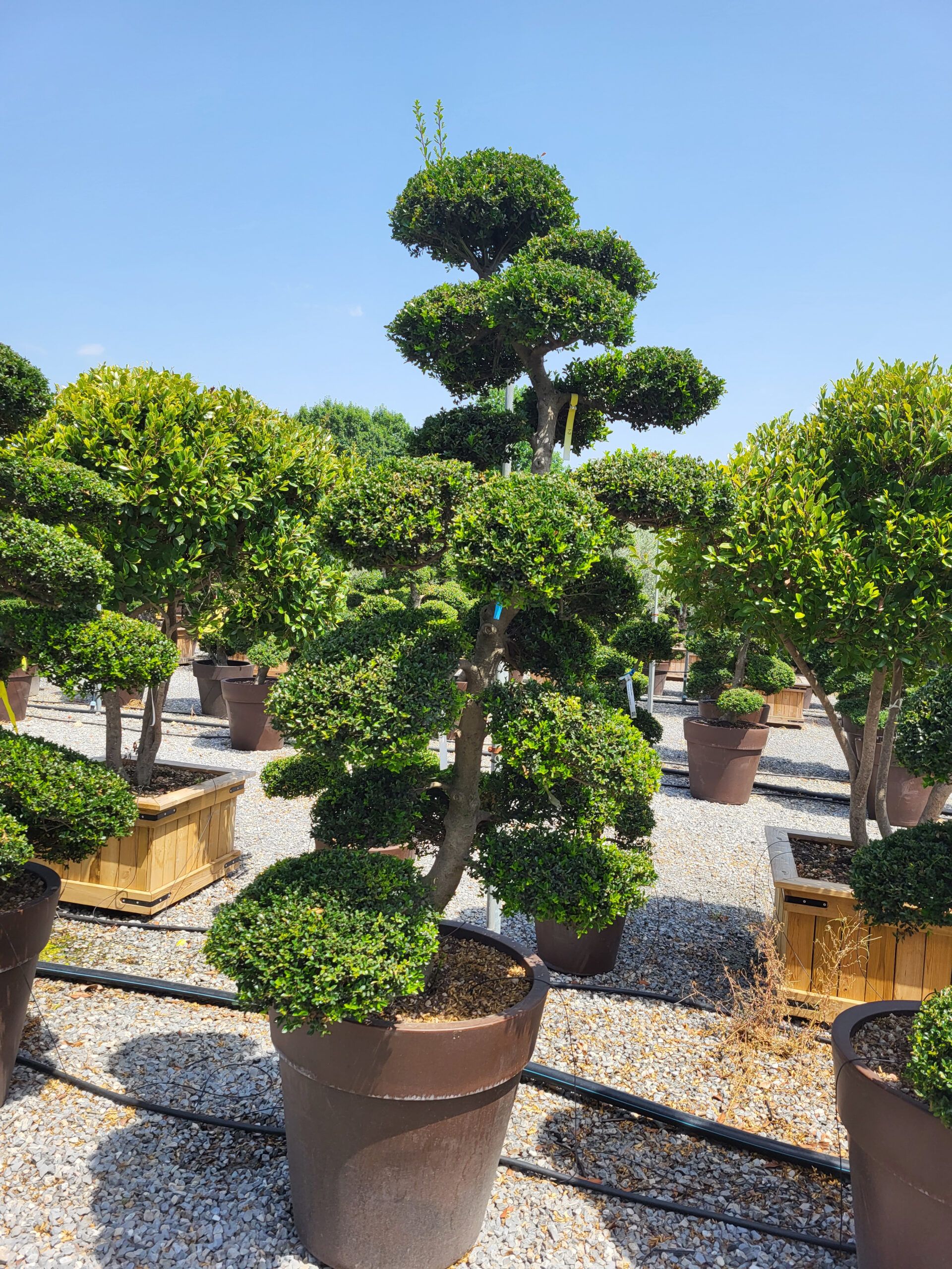 1689166122 scaled 7f8e8e58