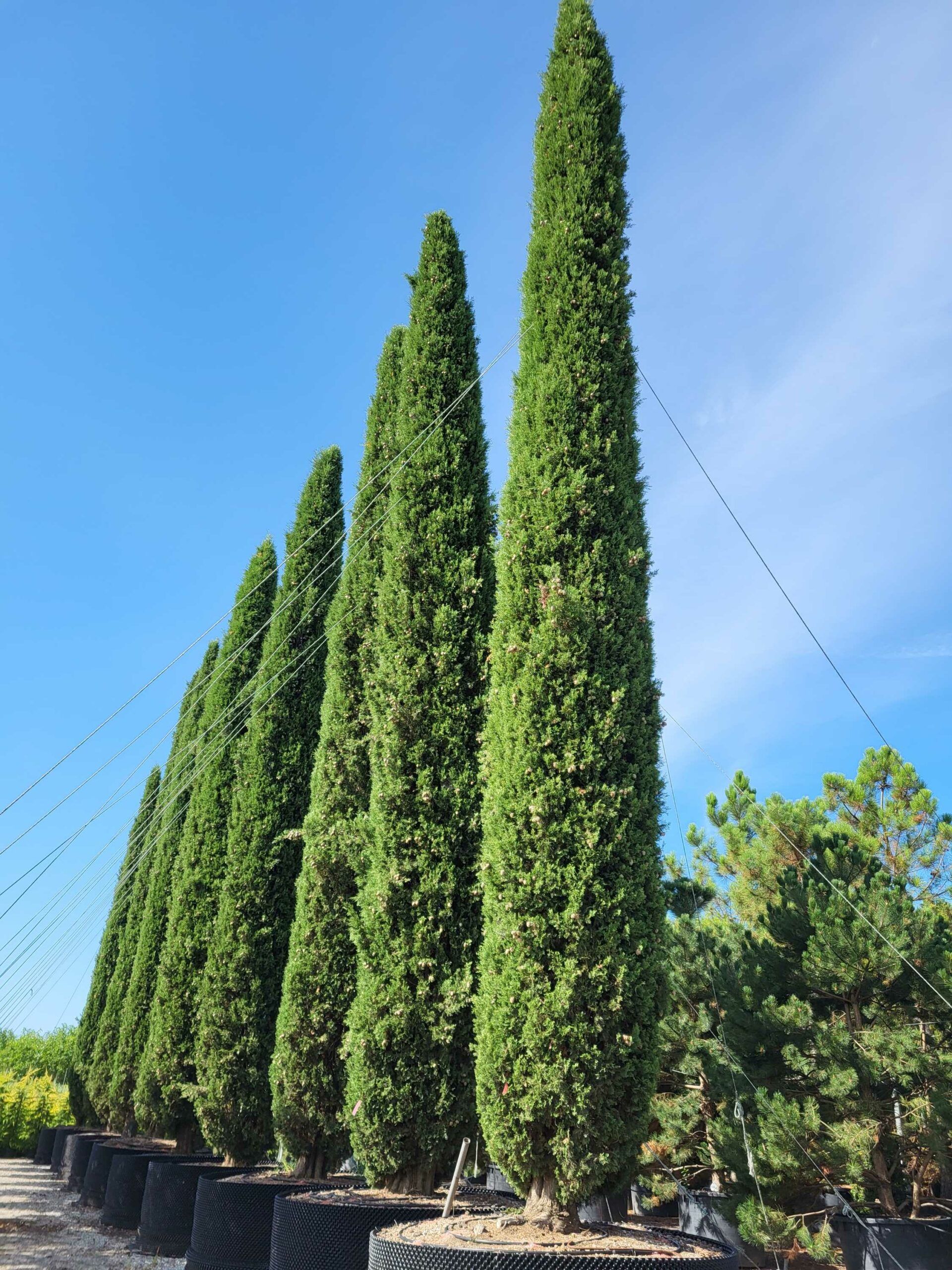 1691567686 scaled 7f06a1bd