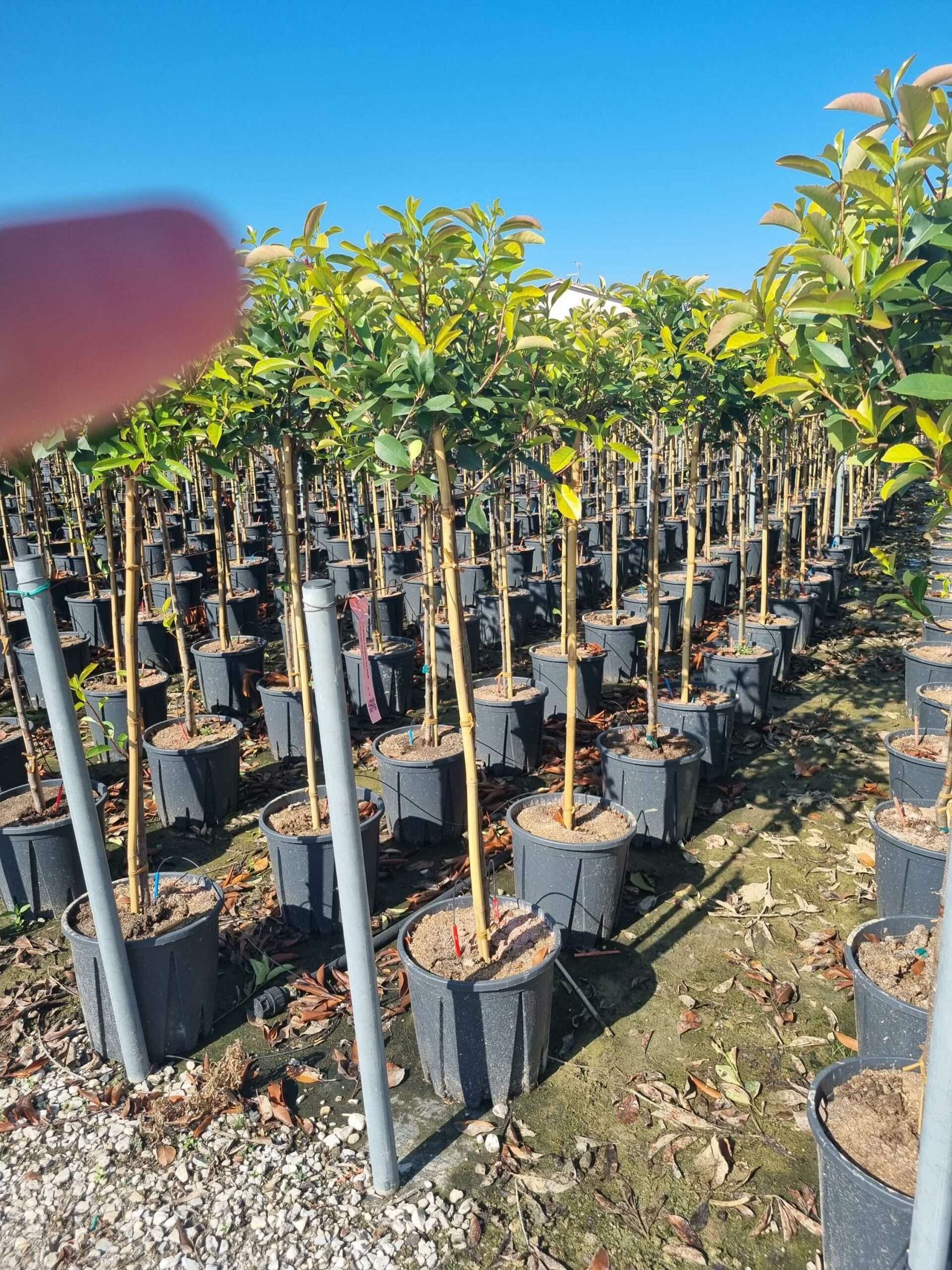 1692691442 scaled 7f550053