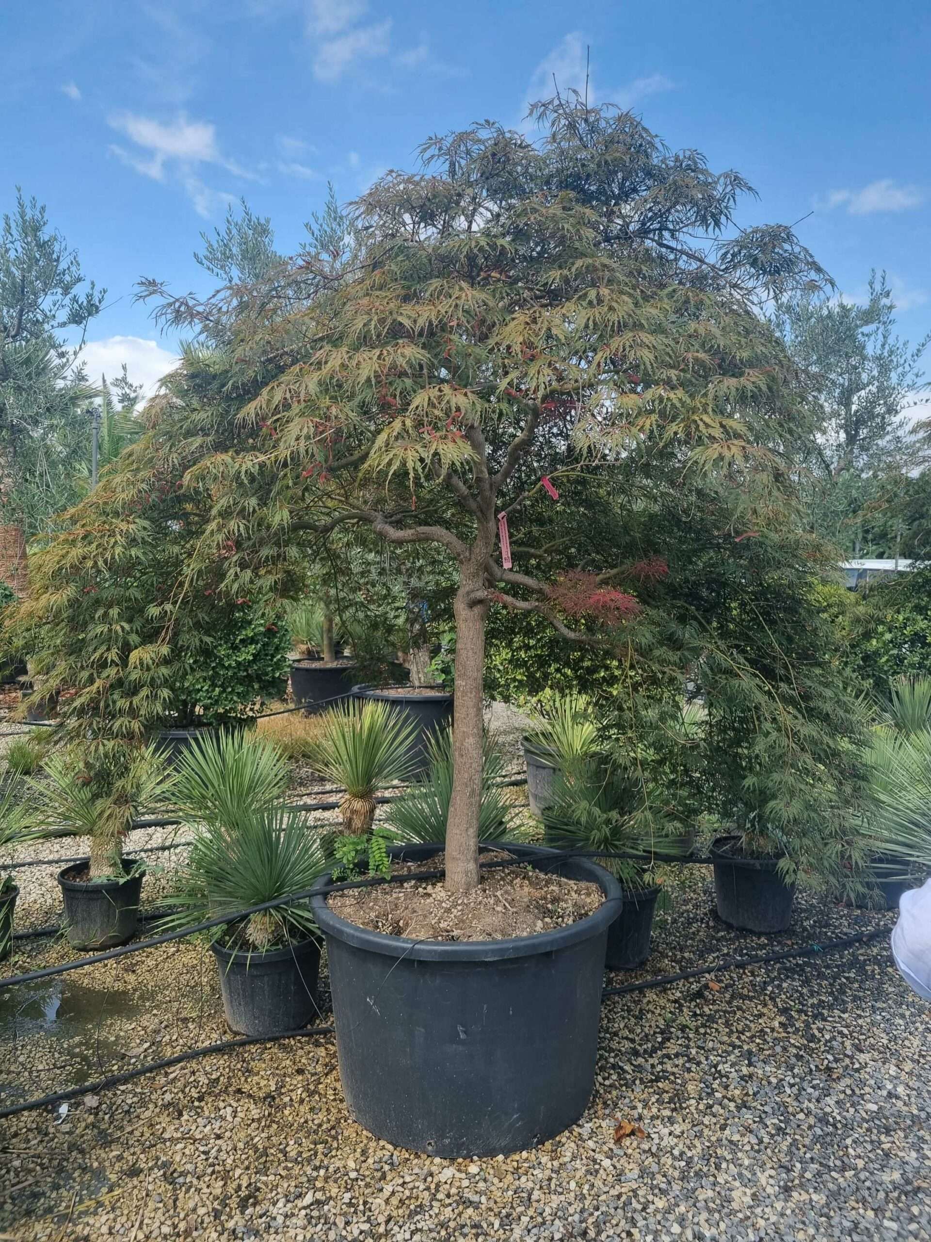 1693476859 scaled 7f6b2b24