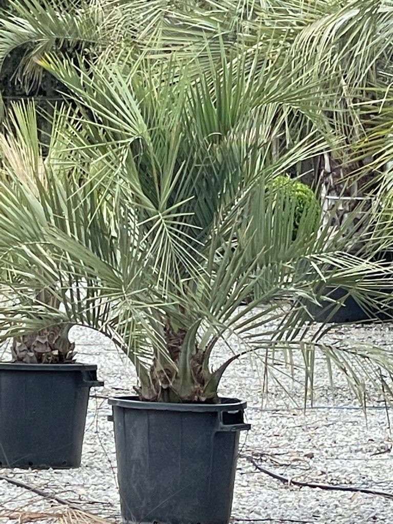 1621332481 01c67fdd6d05689ebb53d0d4f651e4a79e2bb1490a 80e404cb