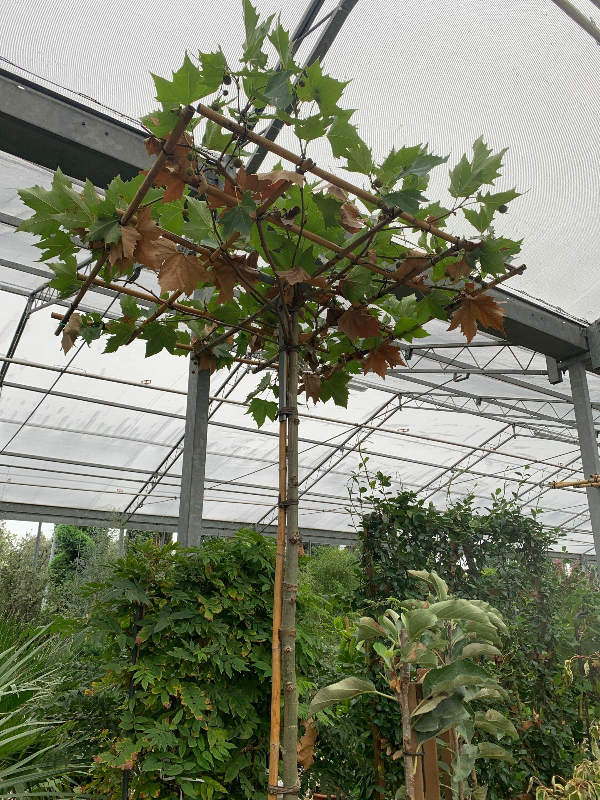 1633335443 scaled 80ef5356