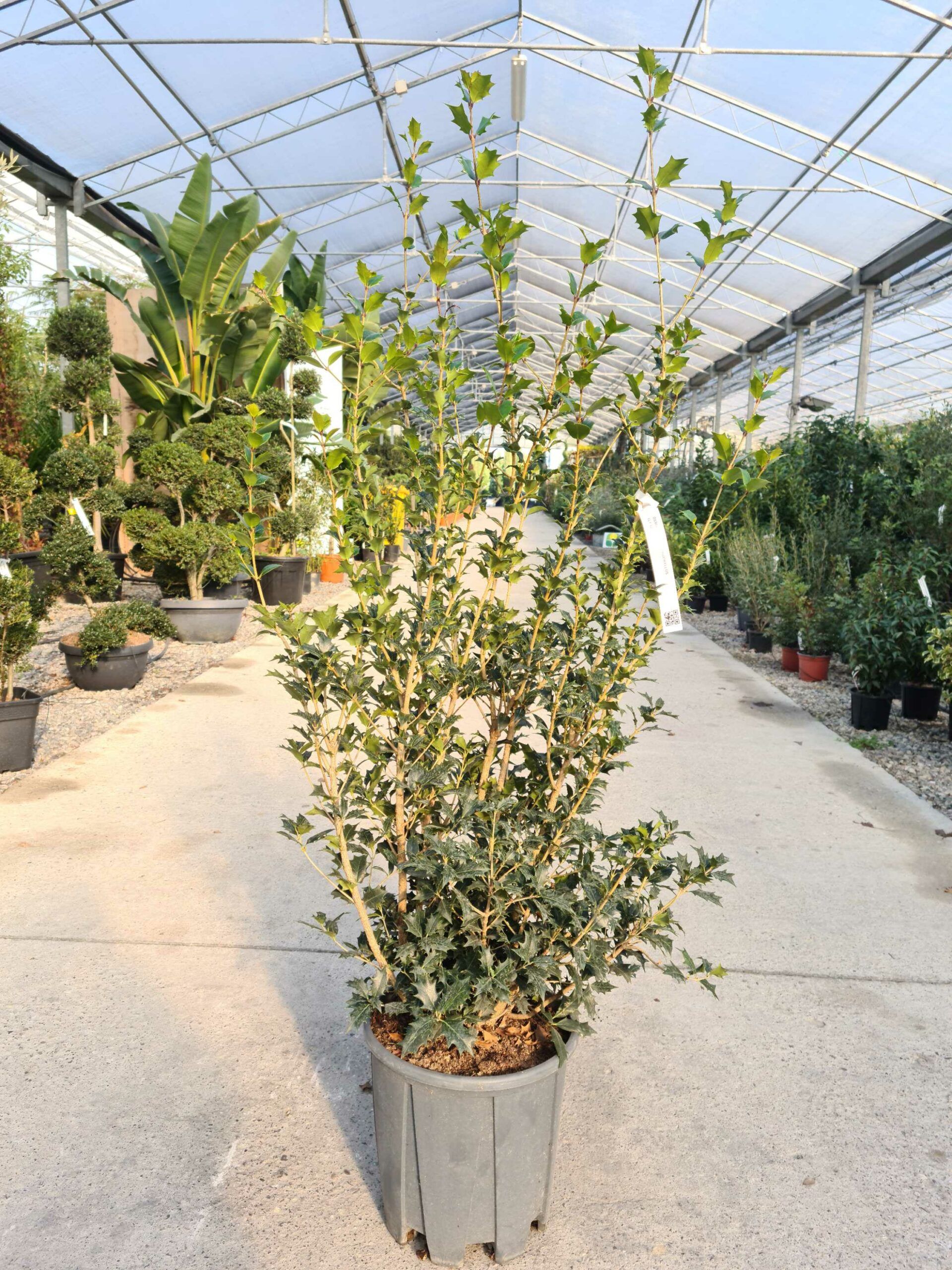 1639476727 scaled 80d12e62