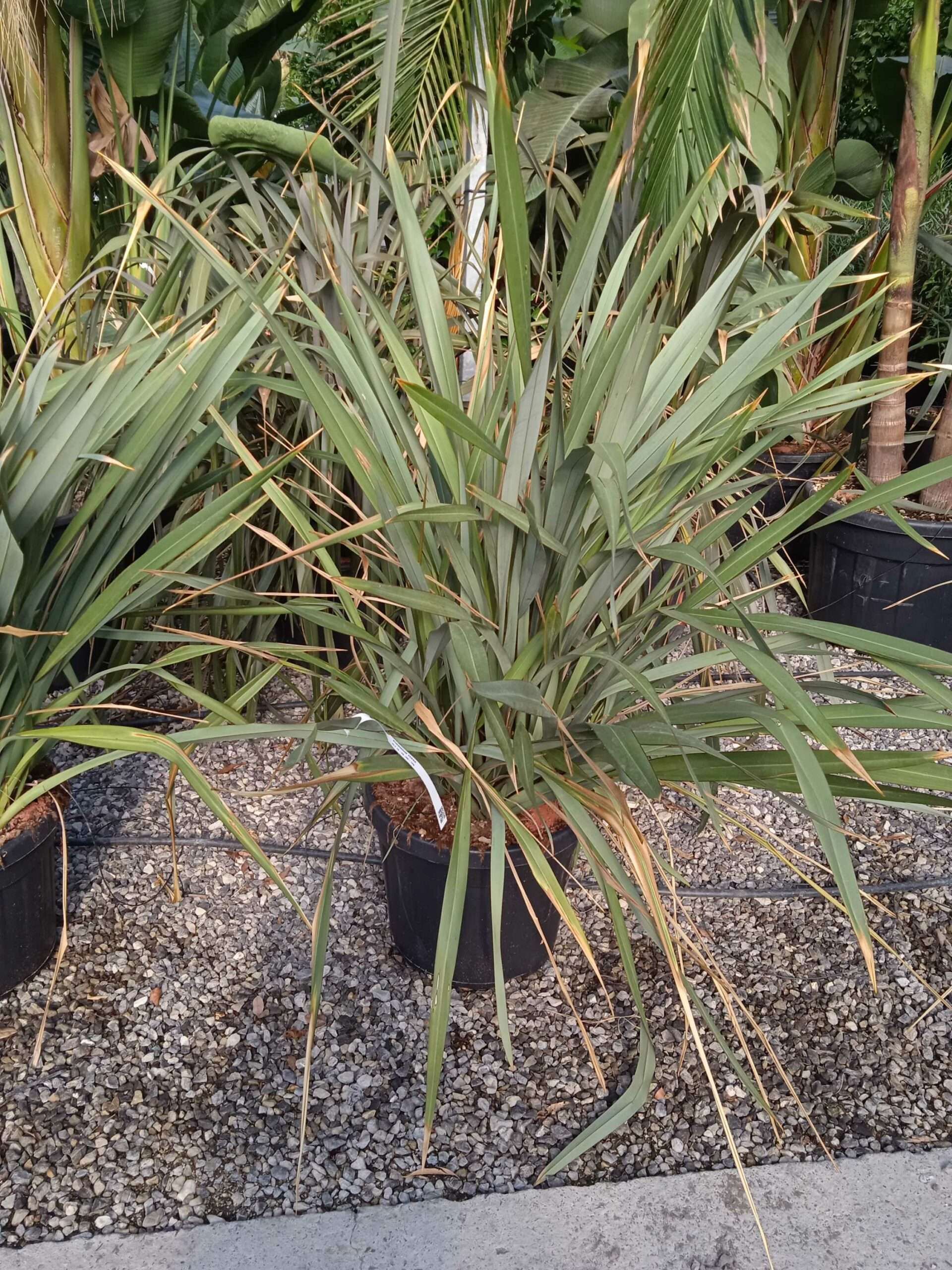 1662447655 scaled 802afca1