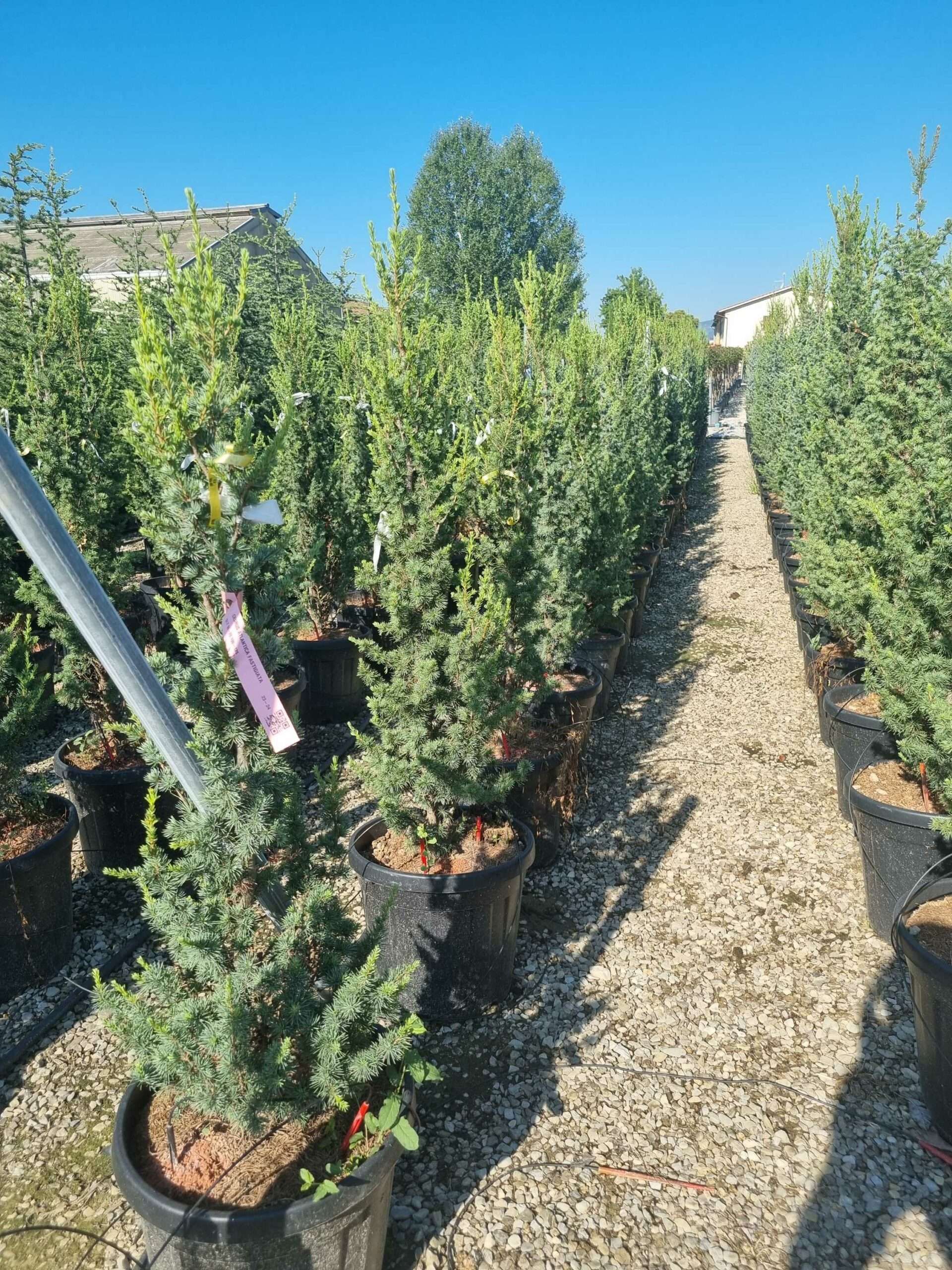 1692690663 scaled 80f366be