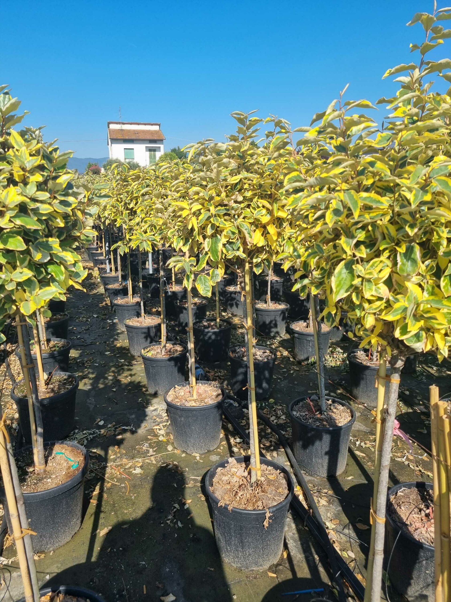 1692691365 scaled 807f0873