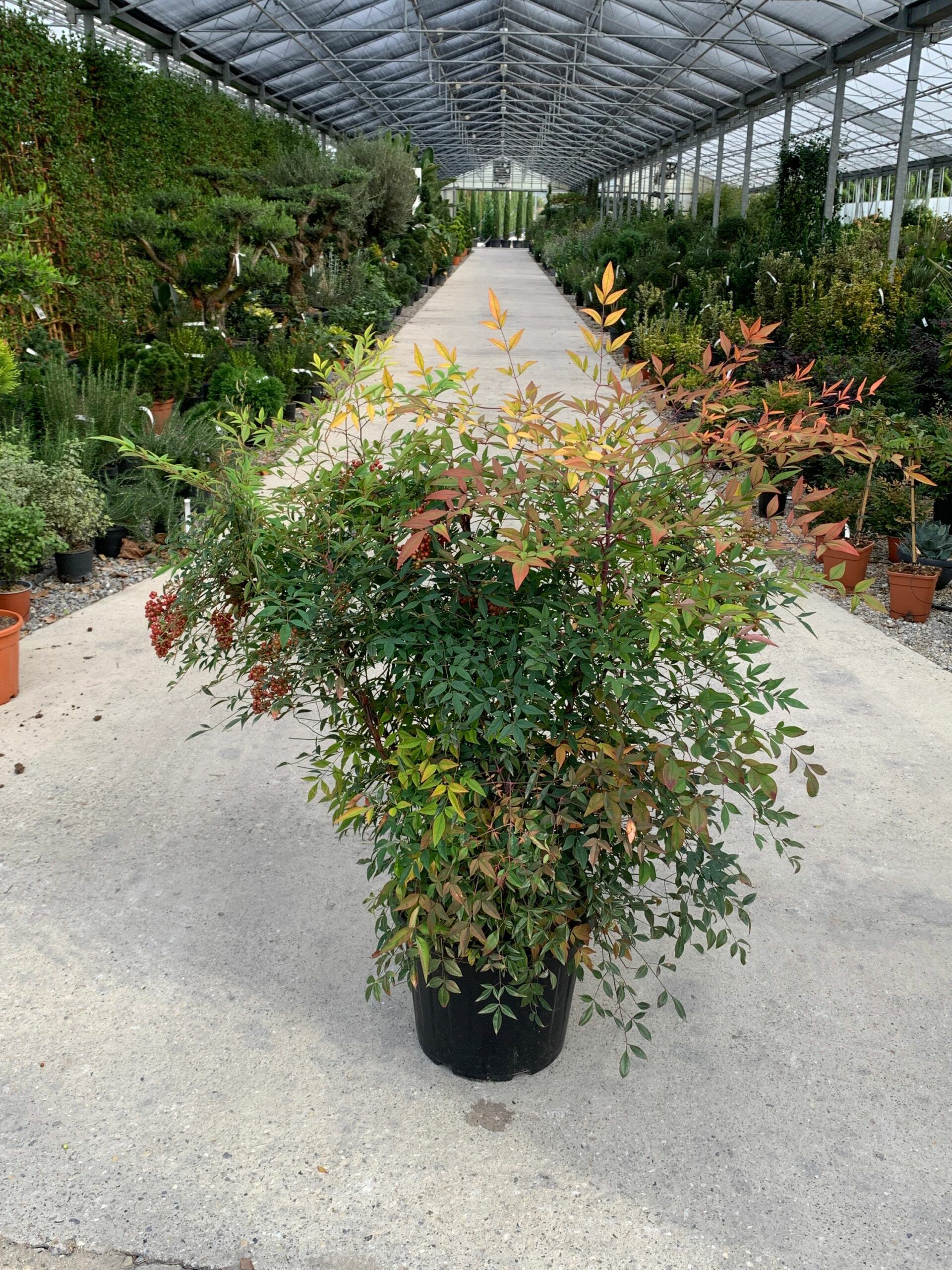 1635149507 scaled 81817439