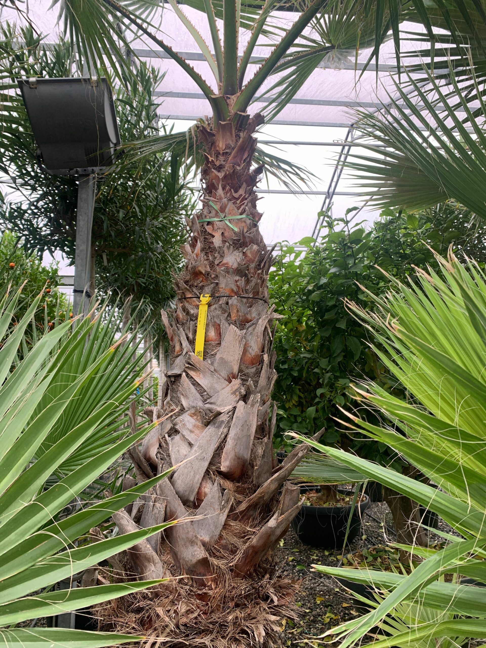 1637057174 scaled 810c51e3