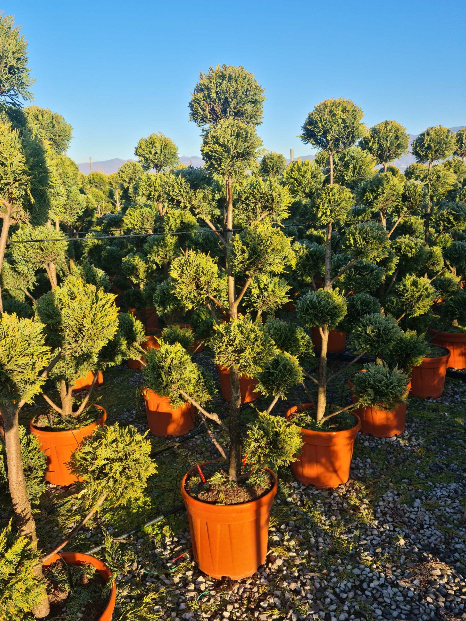 1639814405 scaled 8143704a