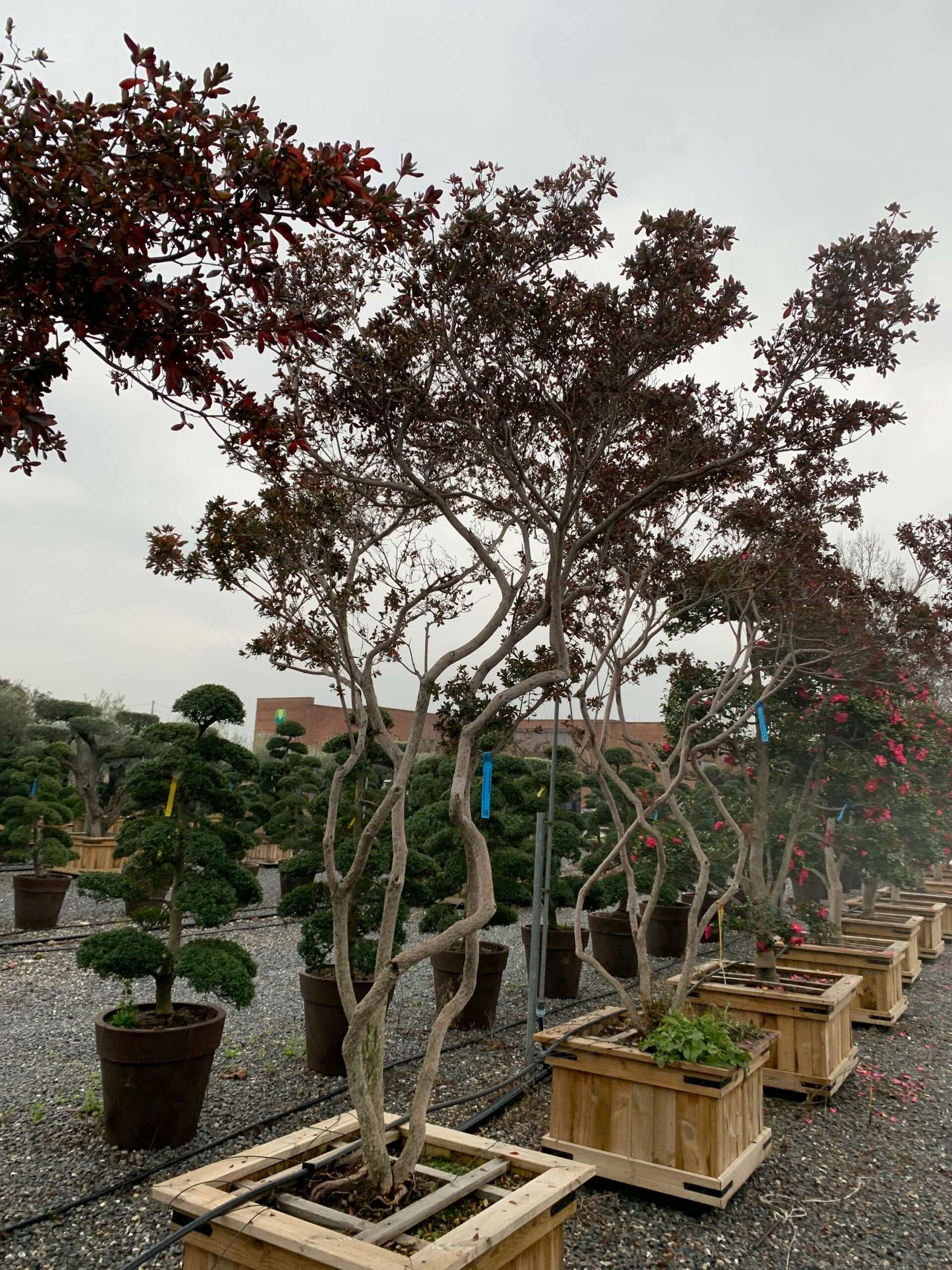 1641201861 scaled 81db7612