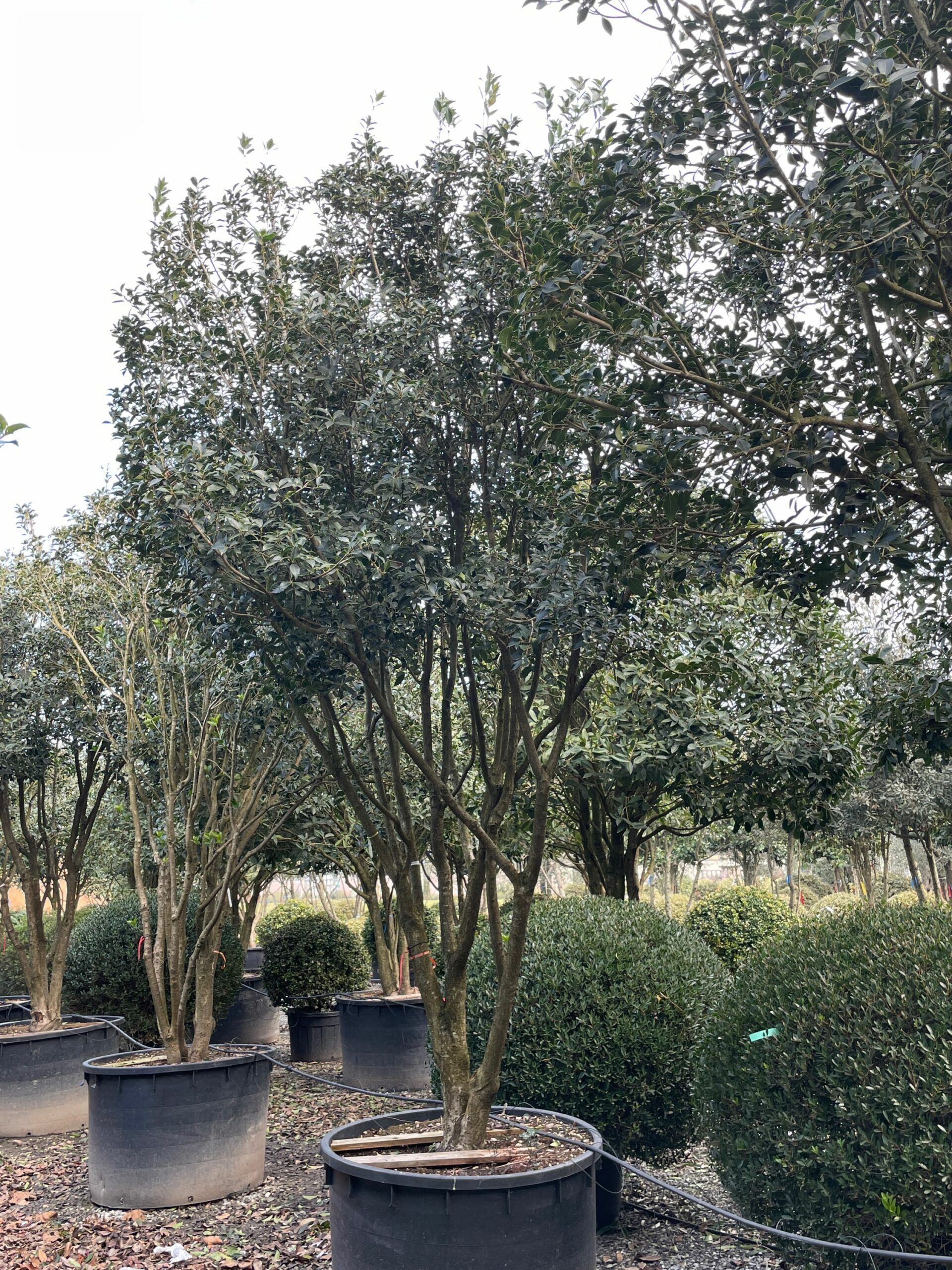 1643197896 scaled 81b0528b