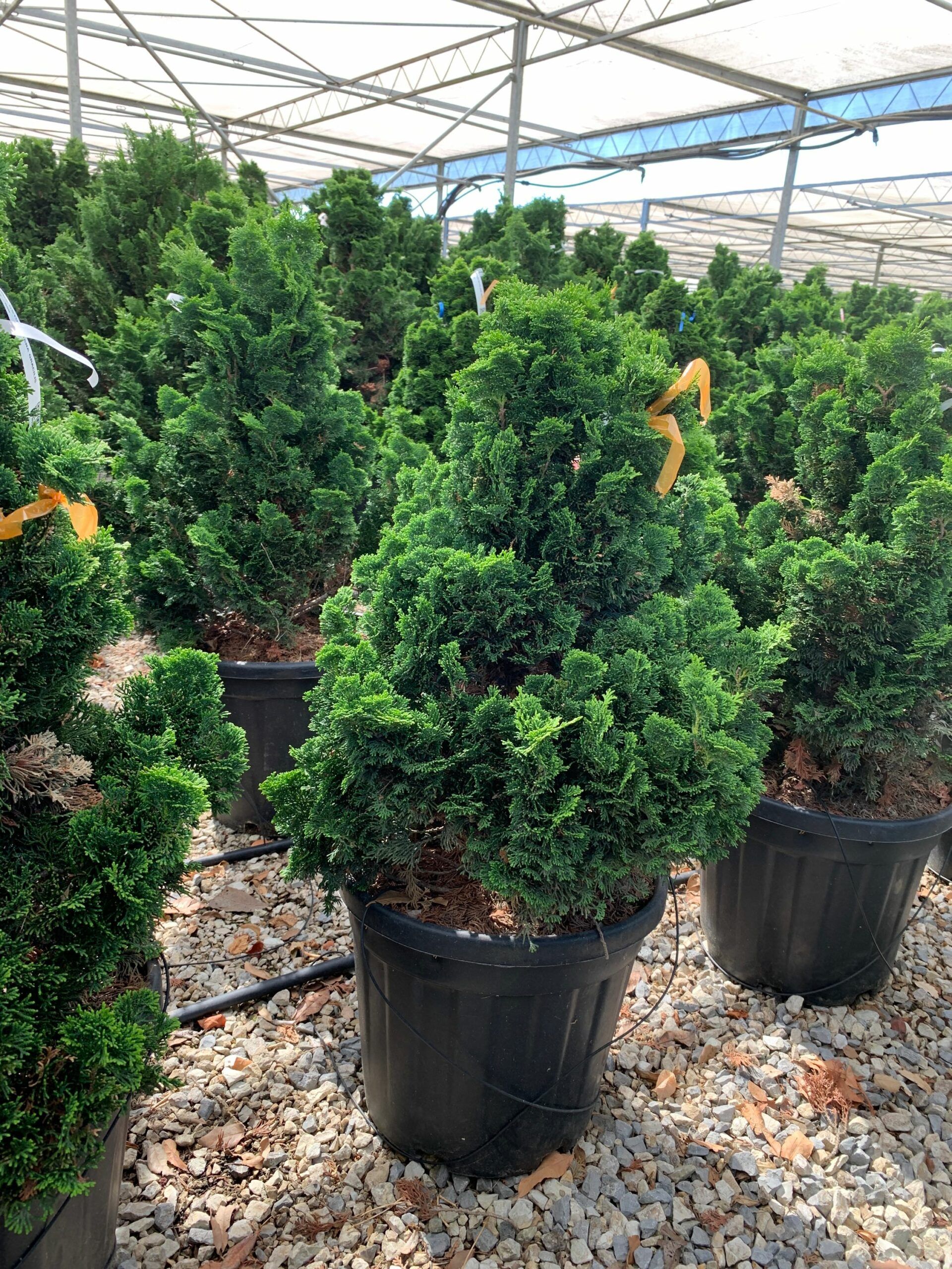 1657526636 scaled 818a1e43