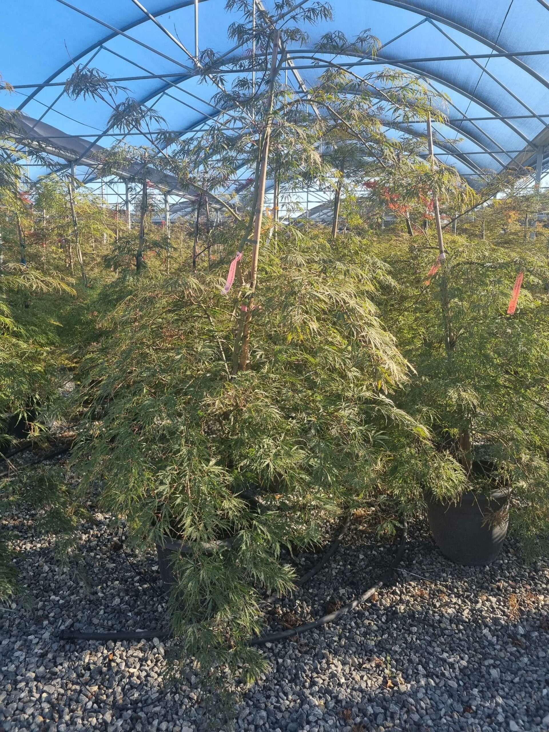 1695653507 scaled 81cba5a7