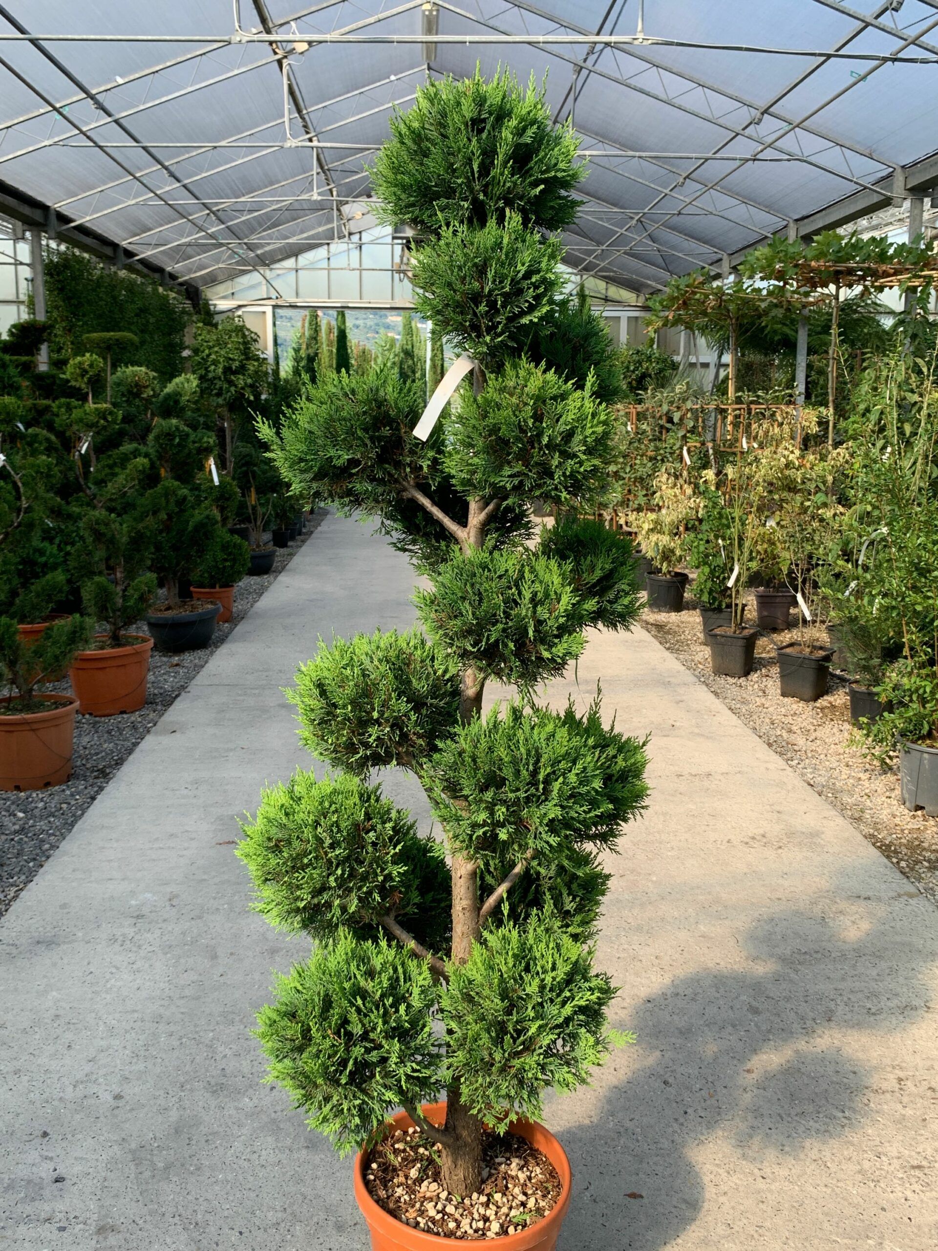 1632836950 scaled 8227a801