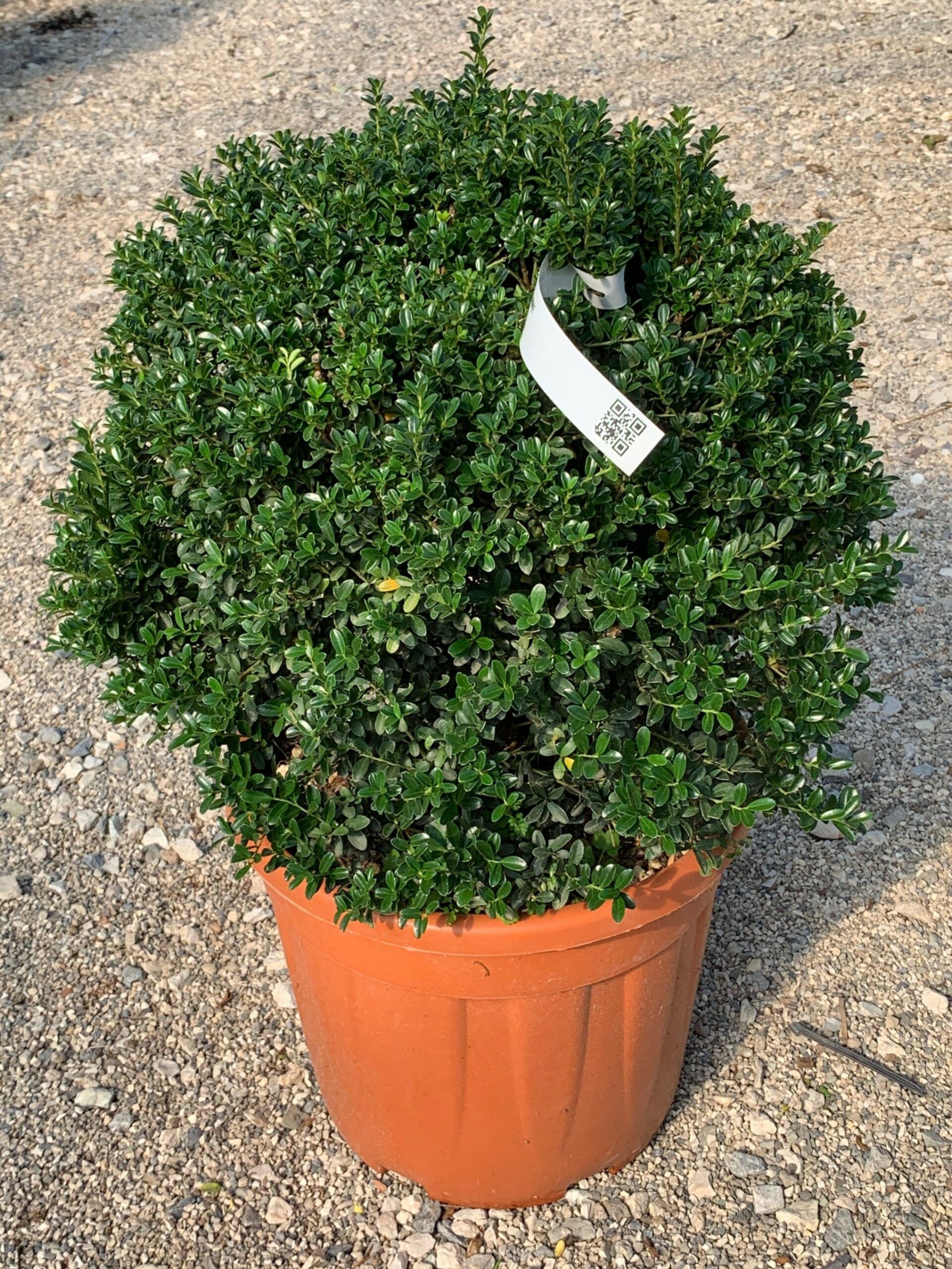 1633771920 1632834259 1 scaled 82296a99