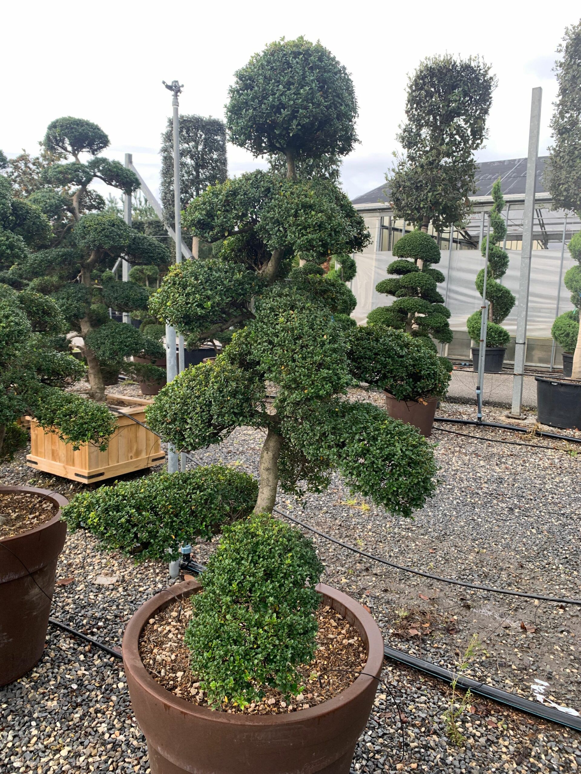 1635924781 scaled 8219aac1