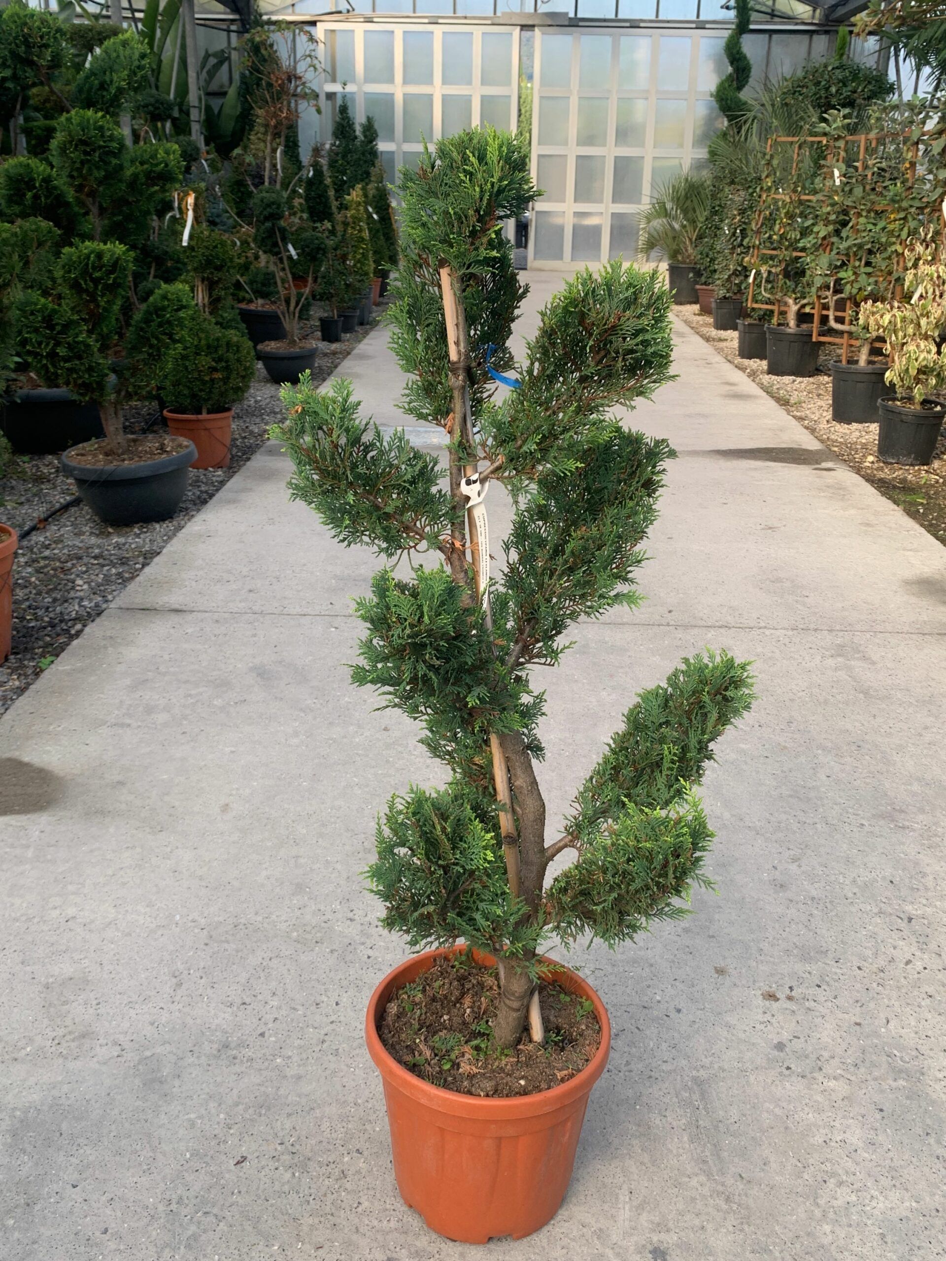 1637242614 scaled 82143b07