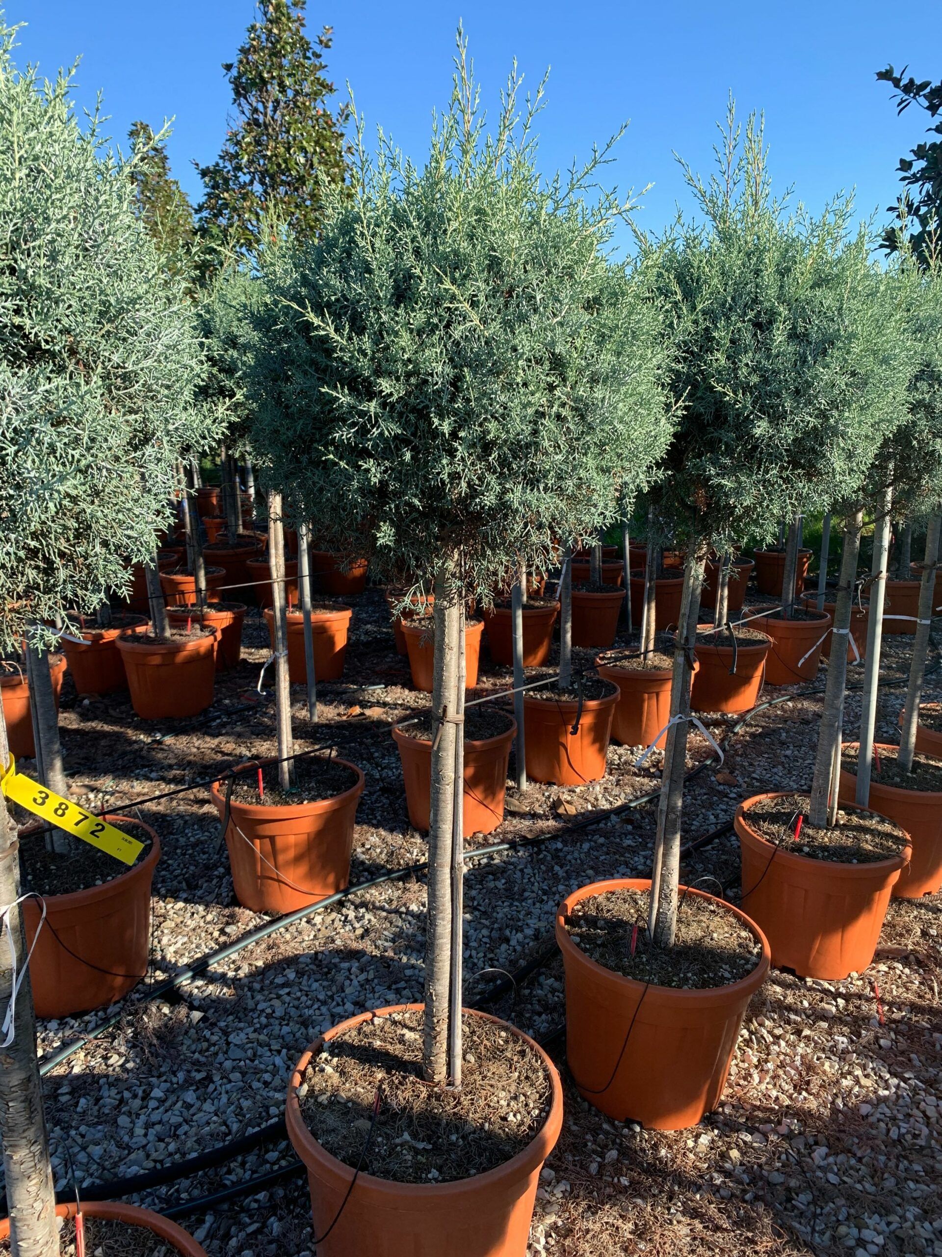 1637746517 scaled 8244fc50