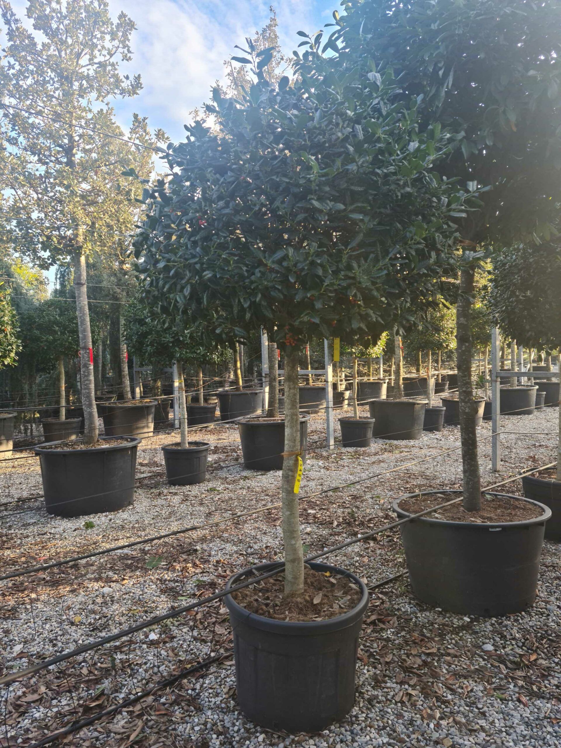 1639405466 scaled 8228e249