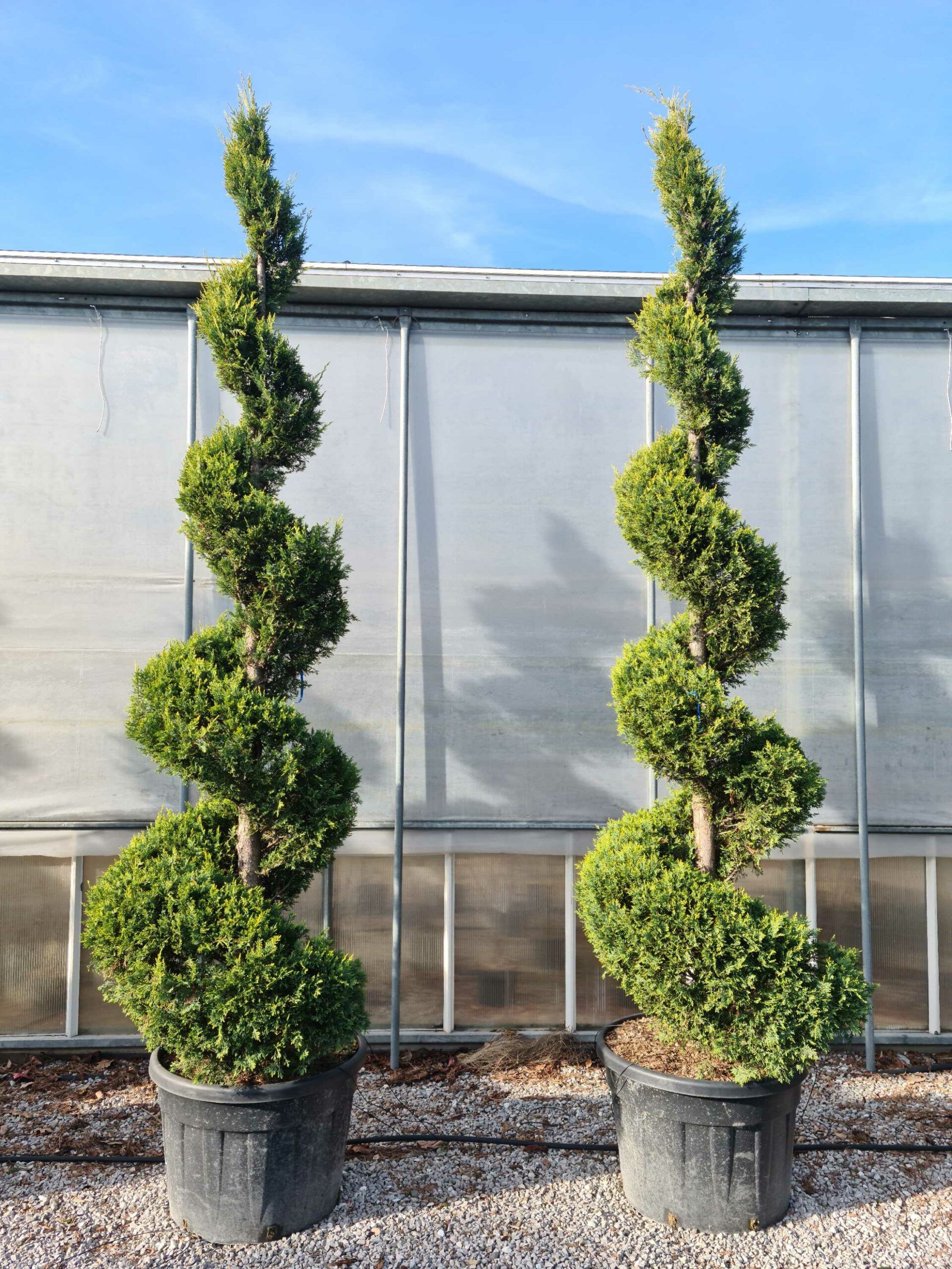 1639563683 scaled 82e7ff39